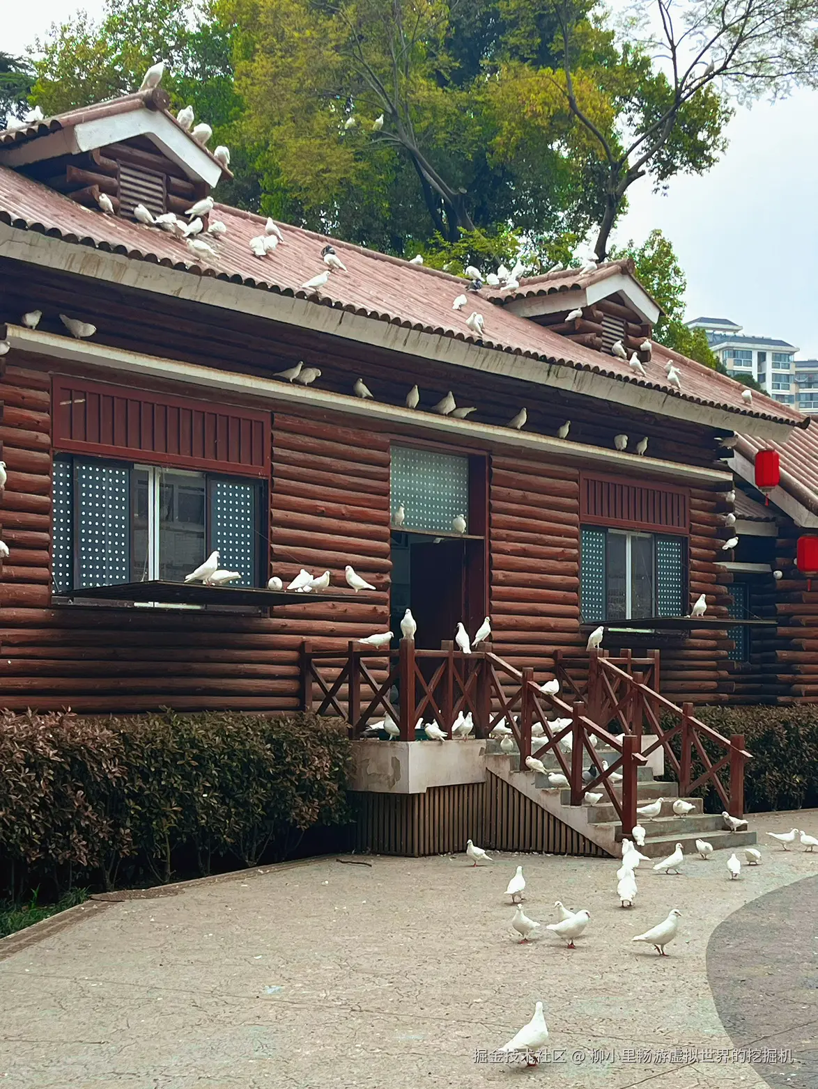 柳小里畅游虚拟世界的挖掘机于2026-04-01 17:11发布的图片