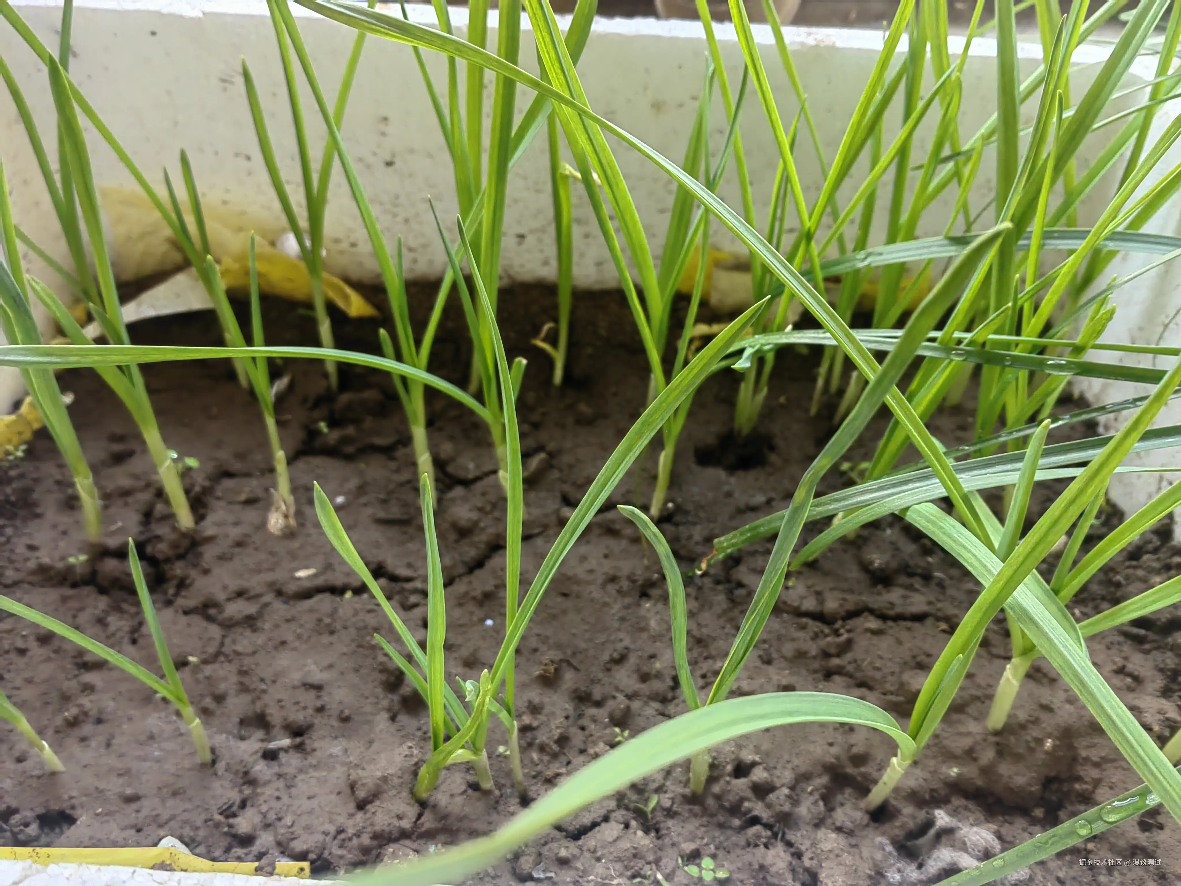 漫谈测试于2025-11-01 10:08发布的图片