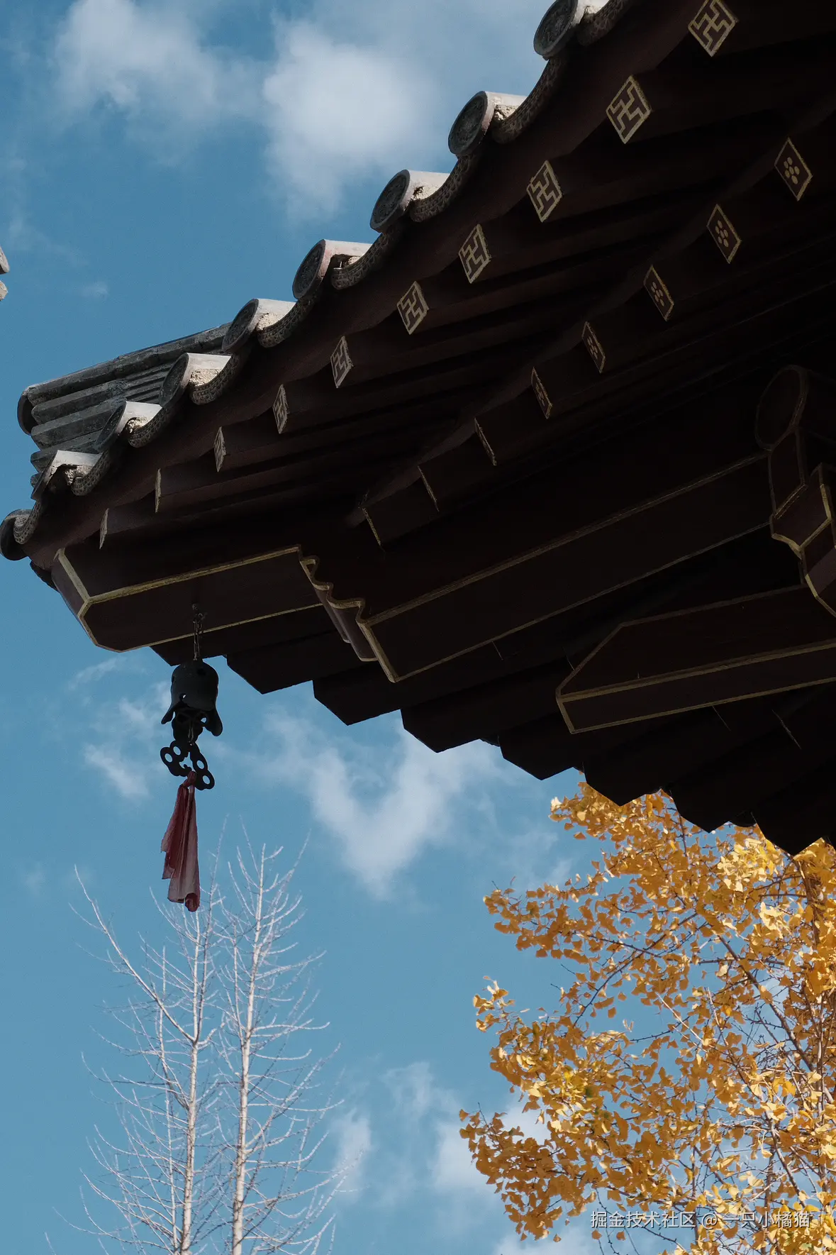 一只小橘猫于2024-11-17 16:56发布的图片