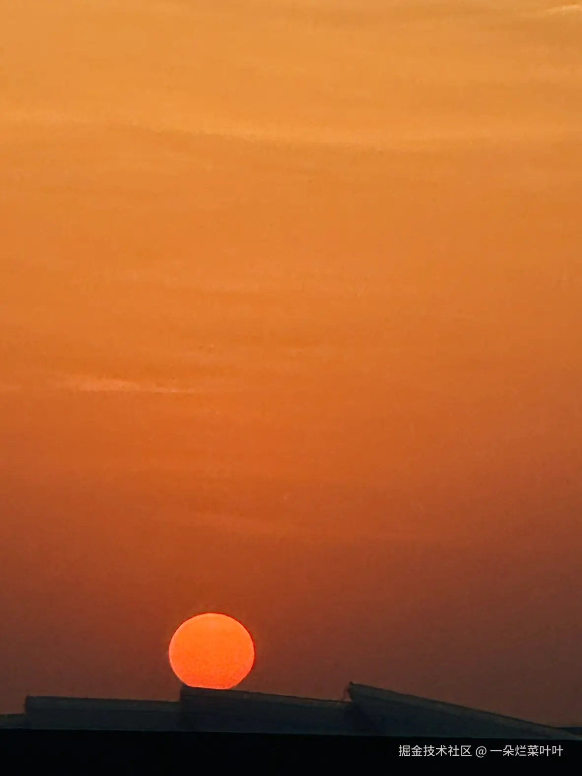 一朵烂菜叶叶于2025-04-09 10:44发布的图片