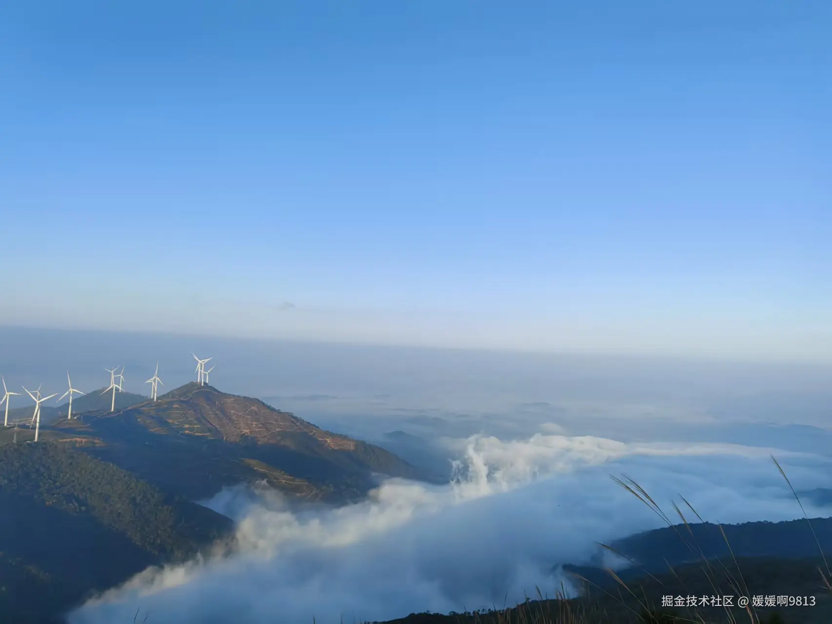 媛媛啊9813于2025-12-20 22:21发布的图片