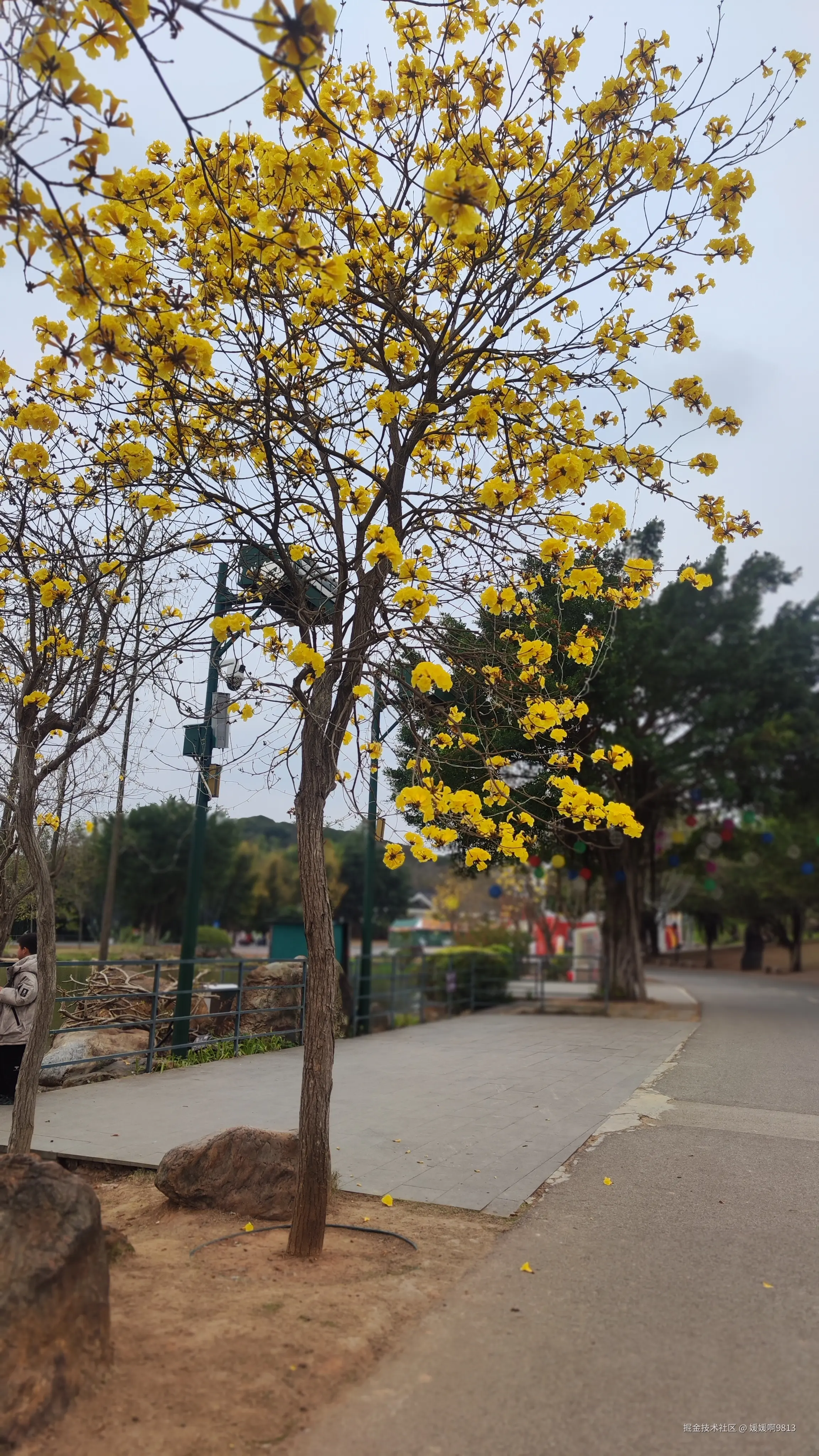 媛媛啊9813于2025-03-09 01:49发布的图片