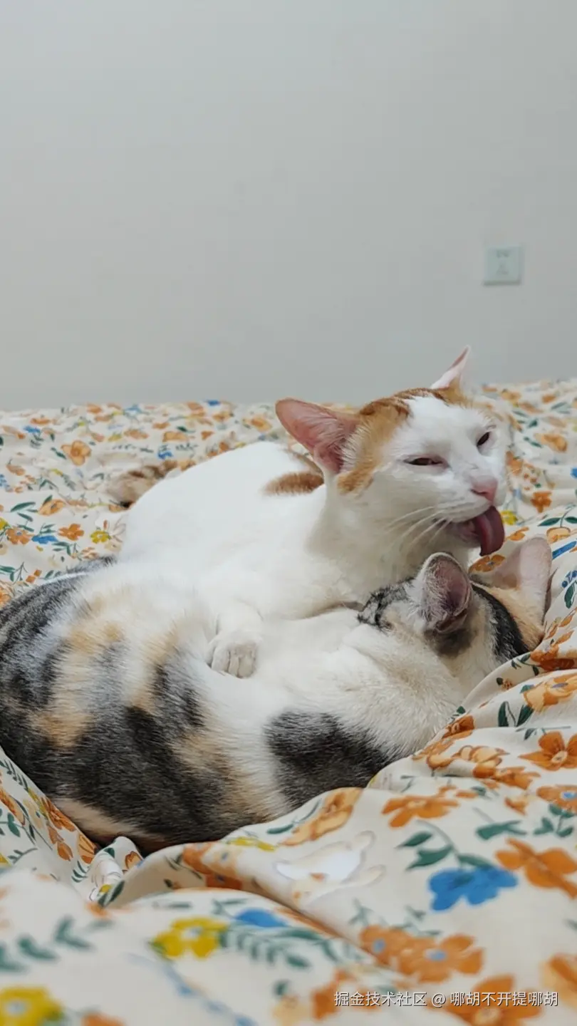 哪胡不开提哪胡于2025-04-18 01:45发布的图片