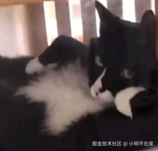 小明不在家于2025-04-01 15:14发布的图片