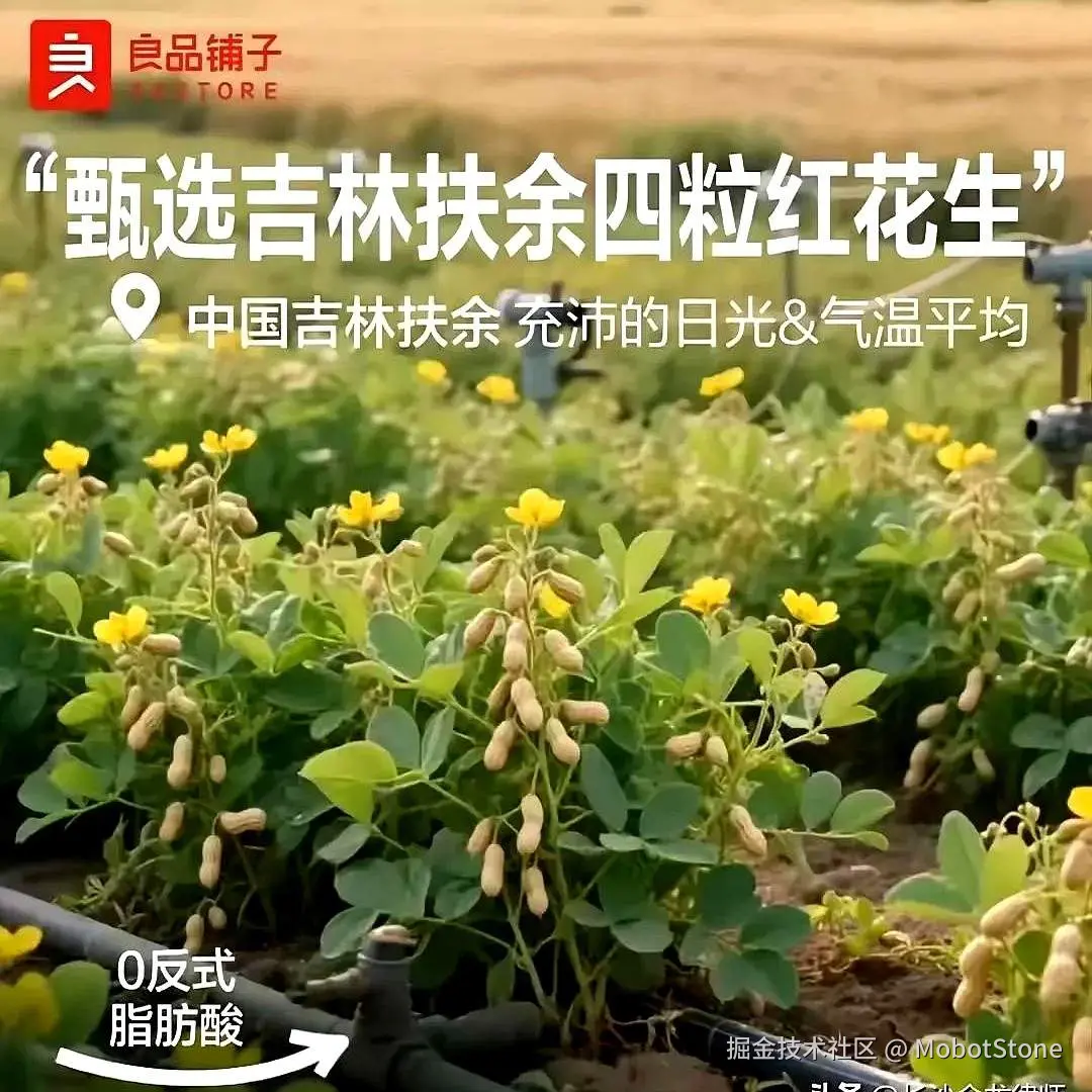 MobotStone于2025-08-29 10:29发布的图片