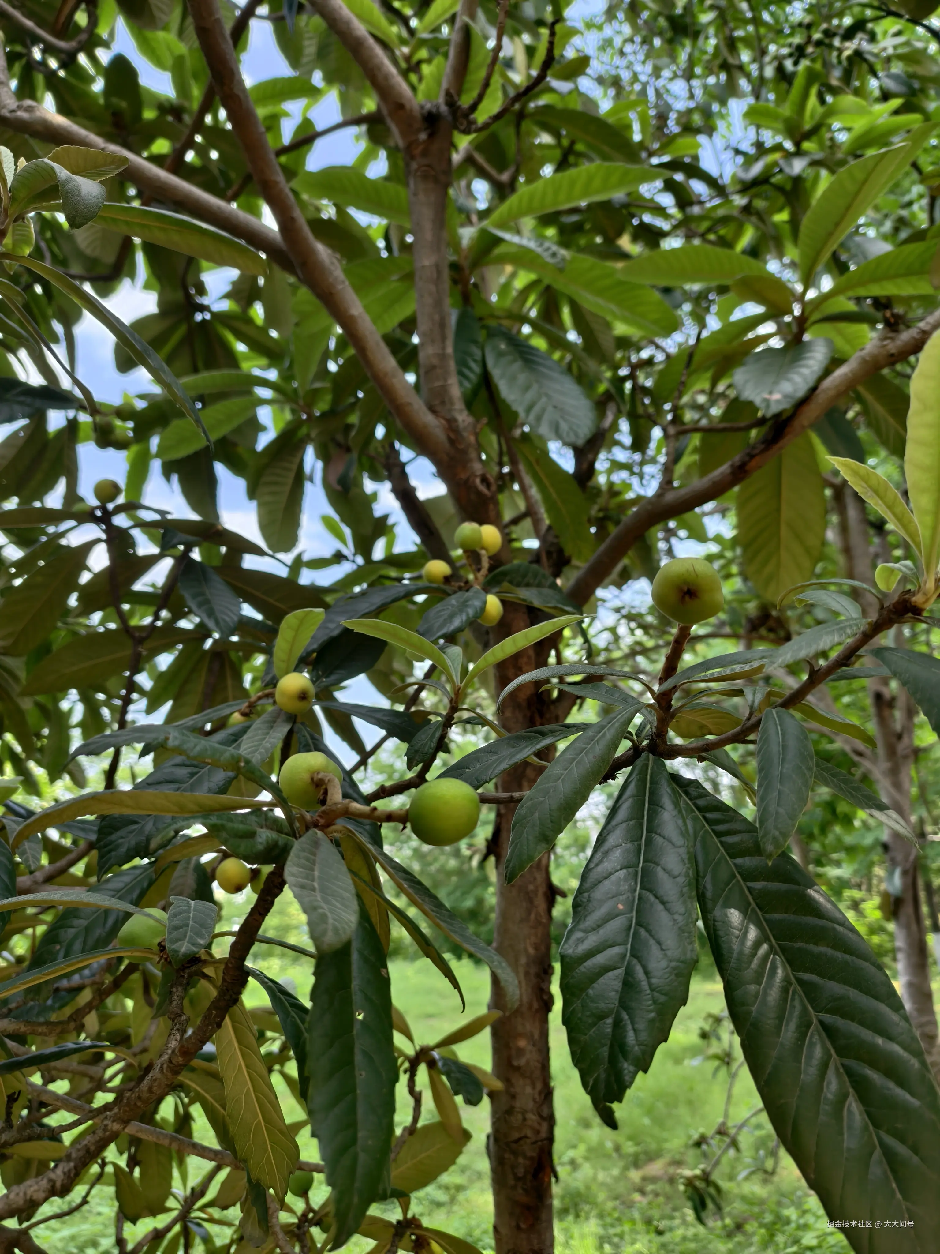 大大问号于2025-05-06 09:01发布的图片