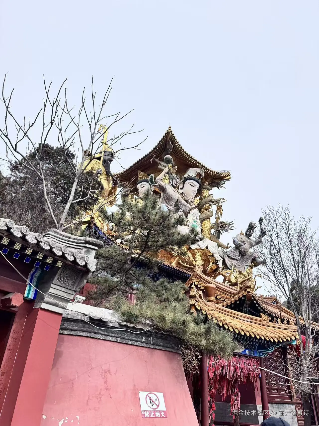 在云端写诗于2026-03-19 10:11发布的图片