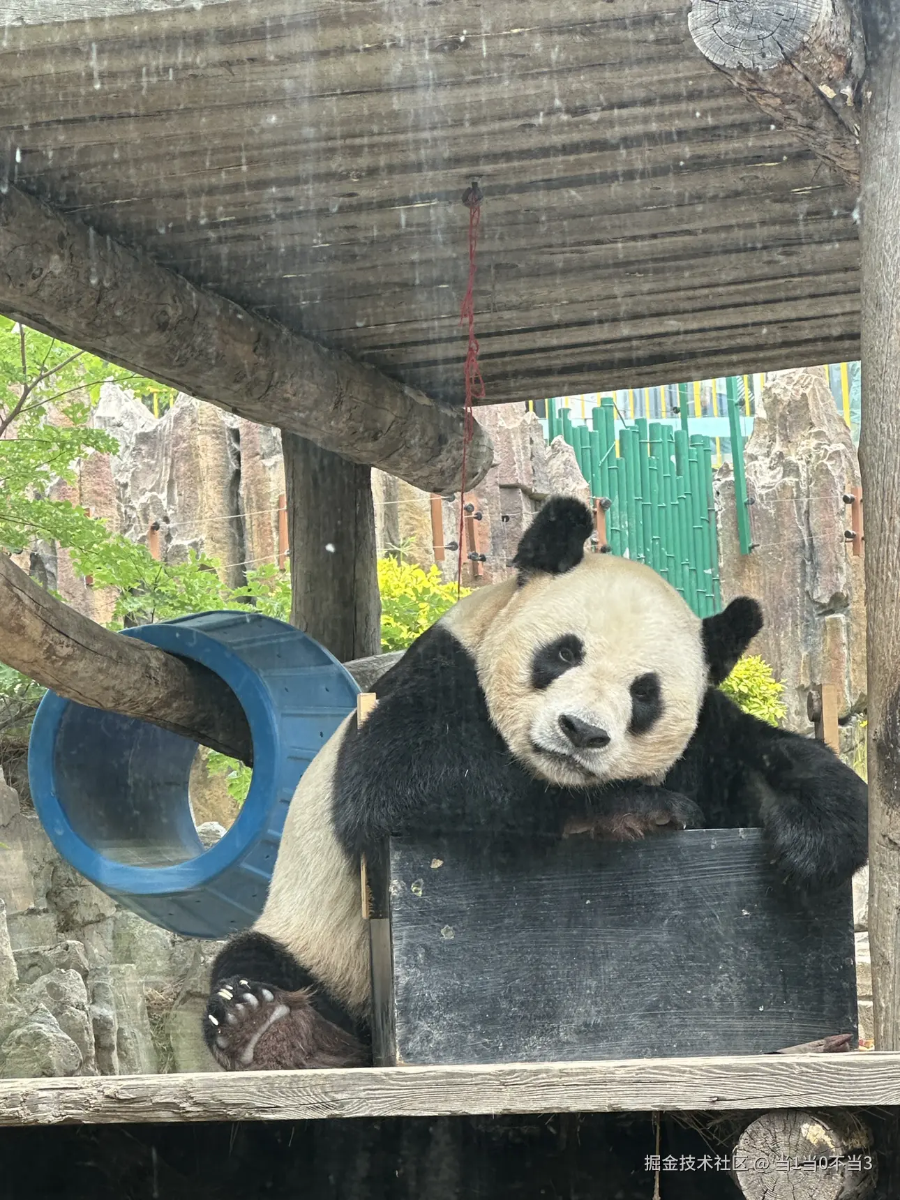 当1当0不当3于2025-06-05 04:40发布的图片