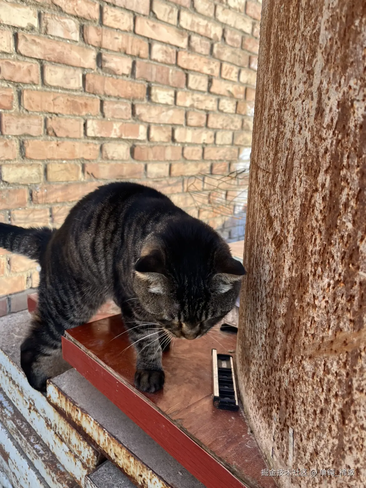 单纯_稀饭于2025-11-26 09:05发布的图片