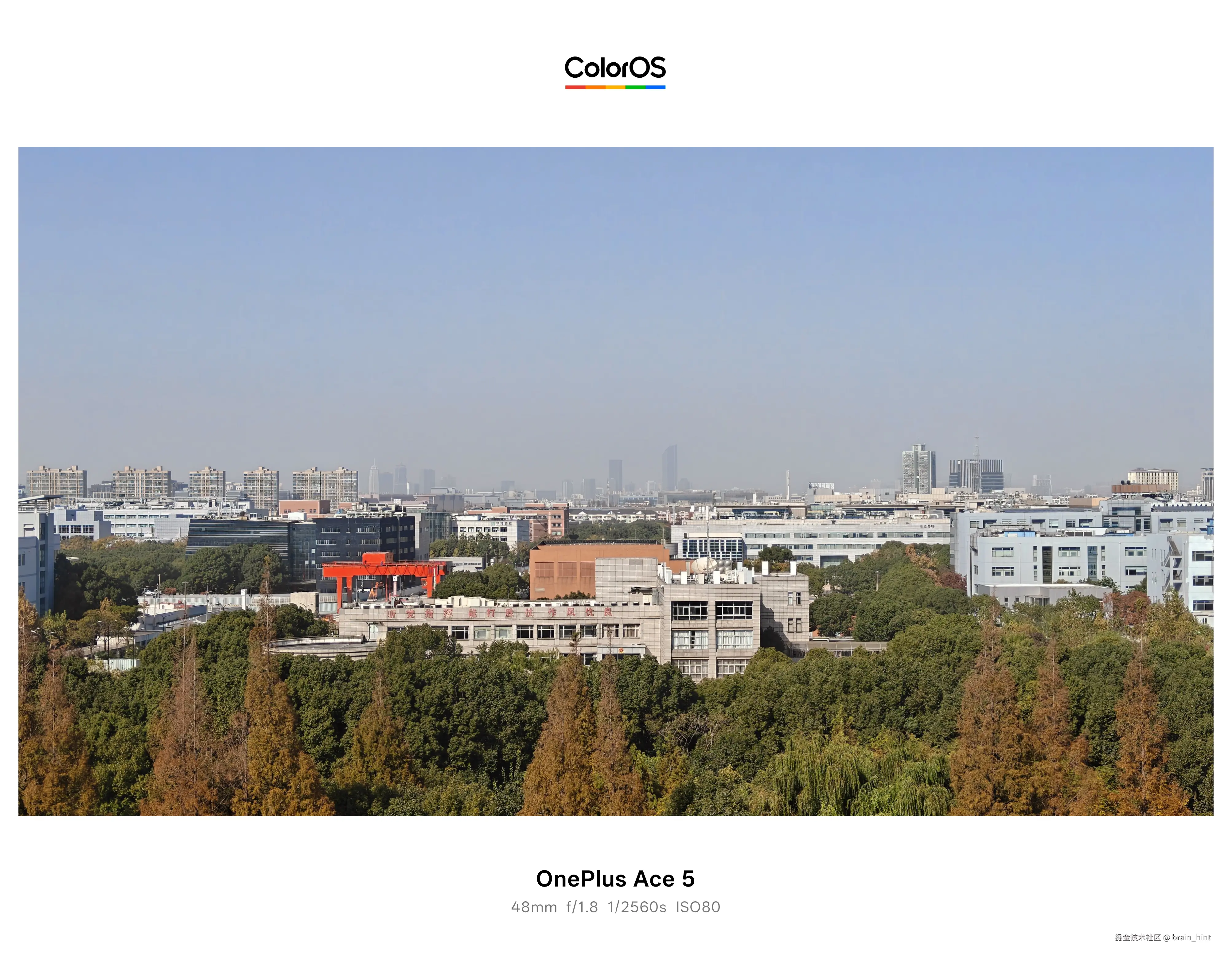 brain_hint于2025-11-28 13:11发布的图片