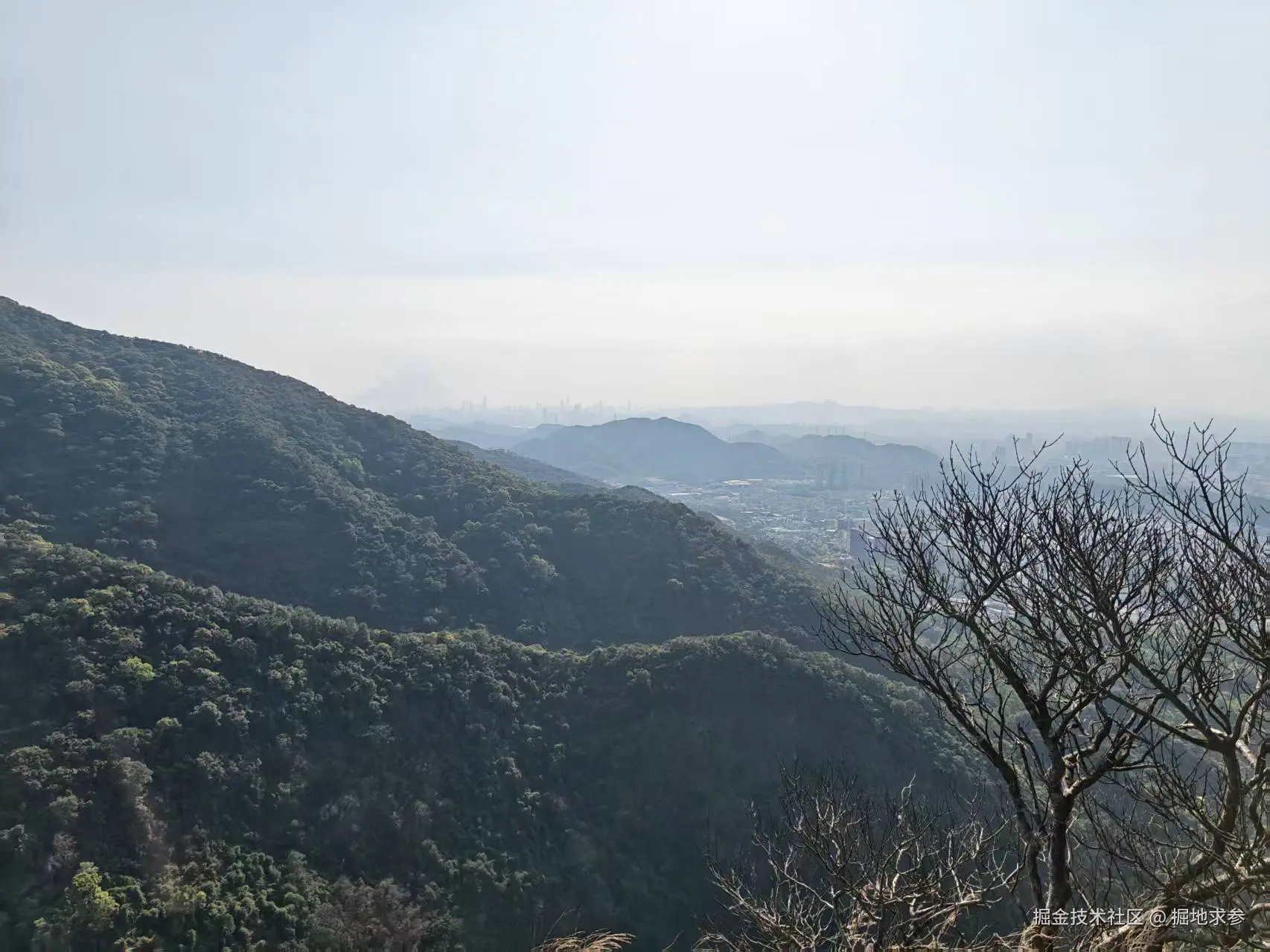 掘地求参于2026-03-16 10:23发布的图片