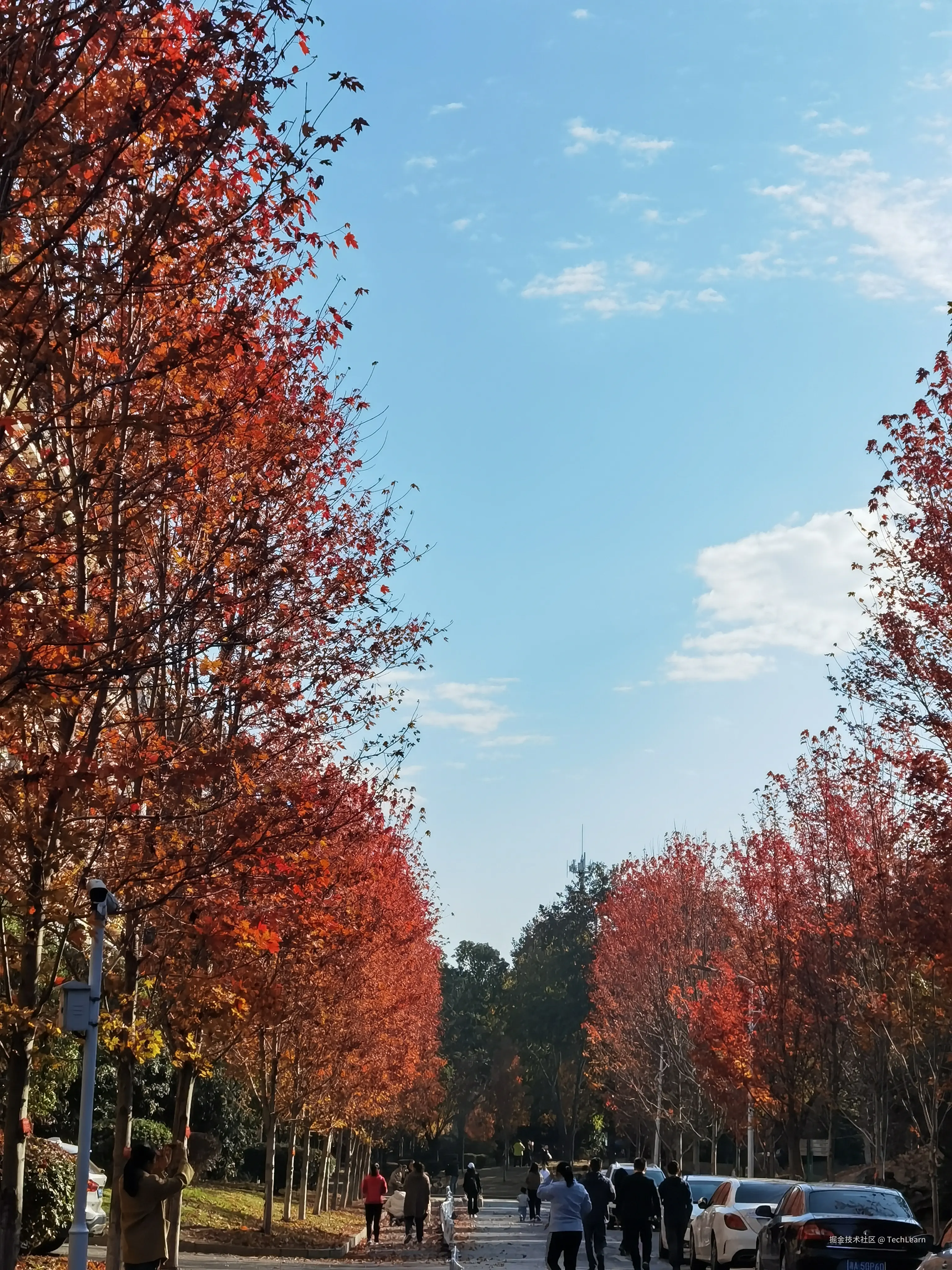 TechLearn于2024-11-30 09:48发布的图片