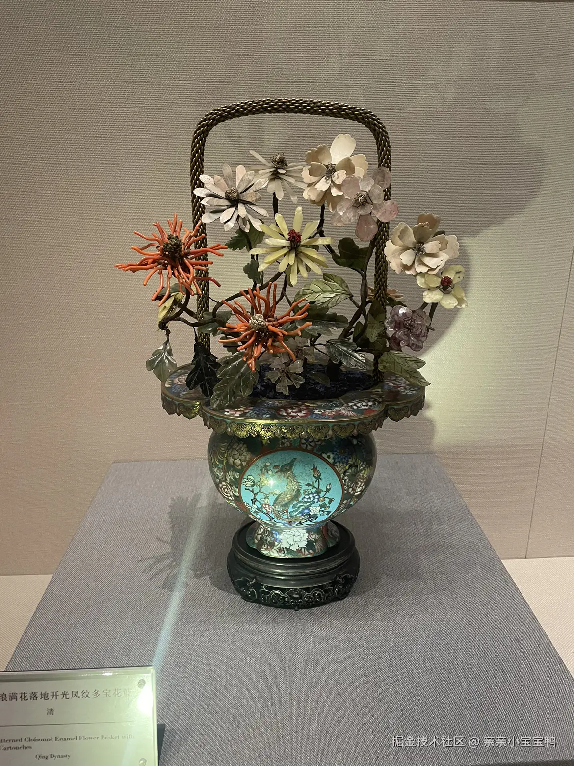 亲亲小宝宝鸭于2026-01-04 09:11发布的图片