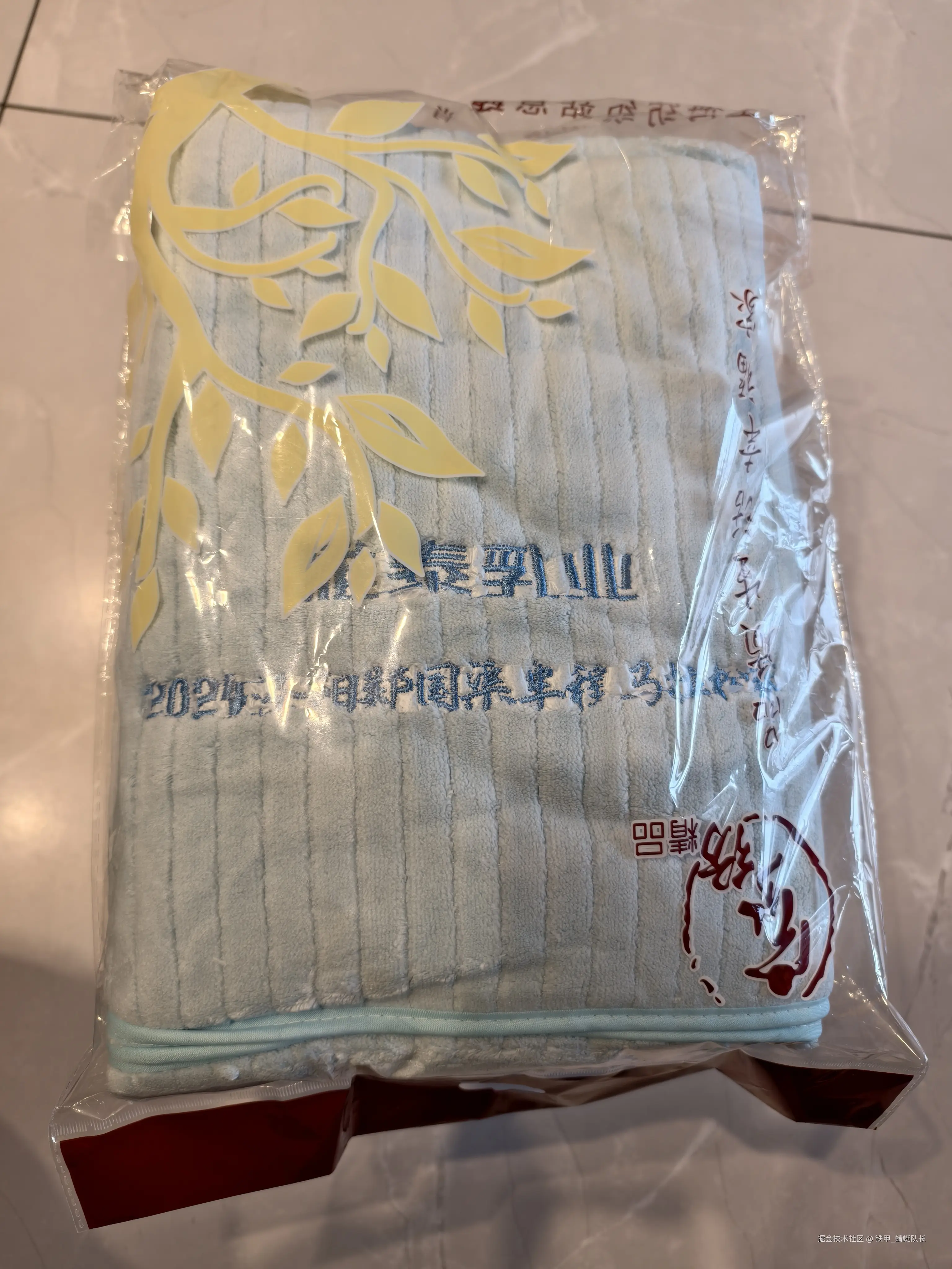 铁甲_蜻蜓队长于2024-11-04 09:18发布的图片