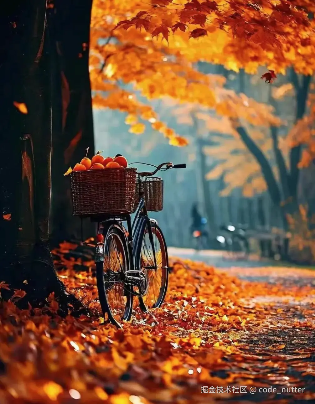 code_nutter于2024-09-26 00:51发布的图片