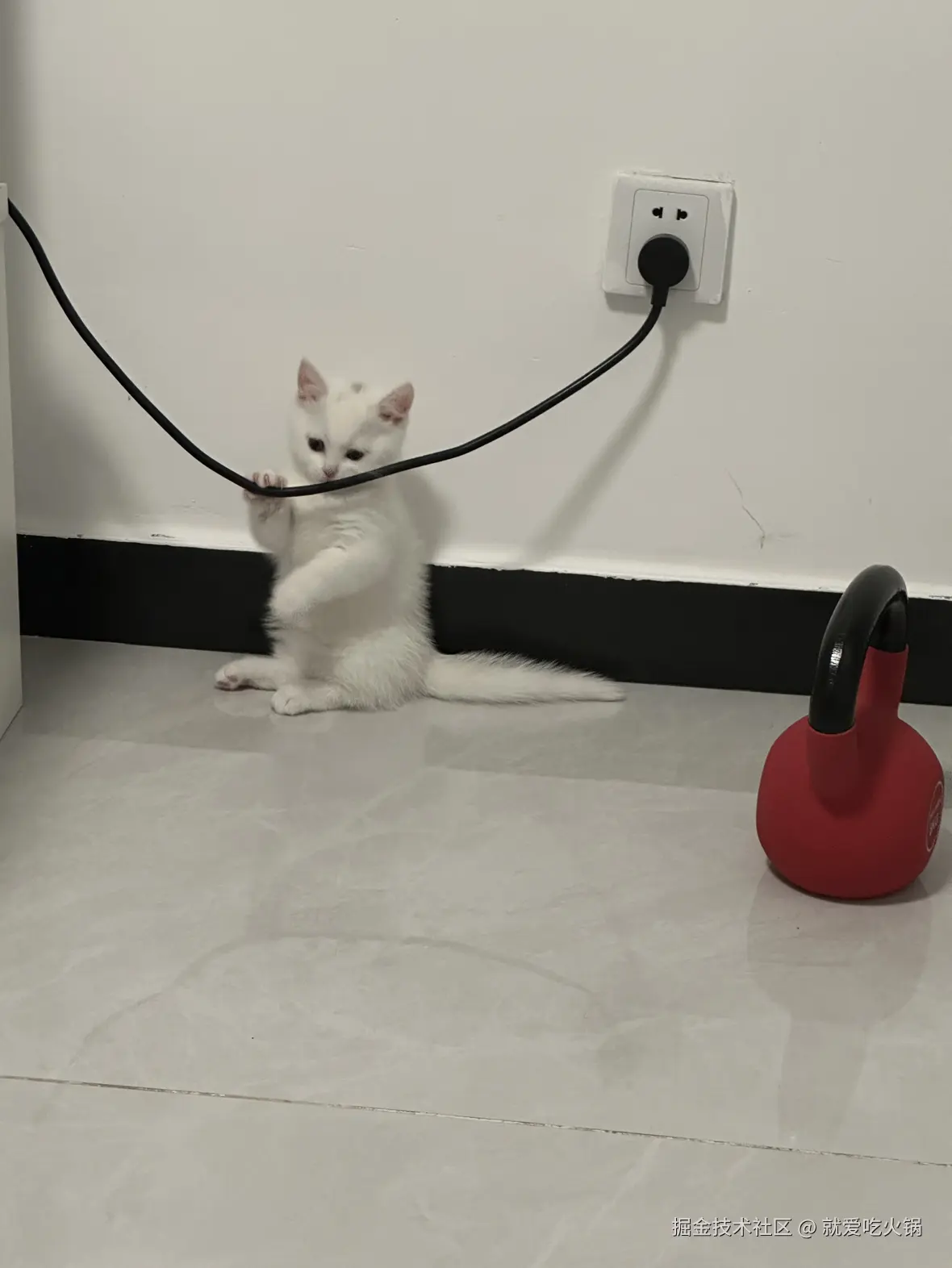 就爱吃火锅于2025-03-06 09:35发布的图片