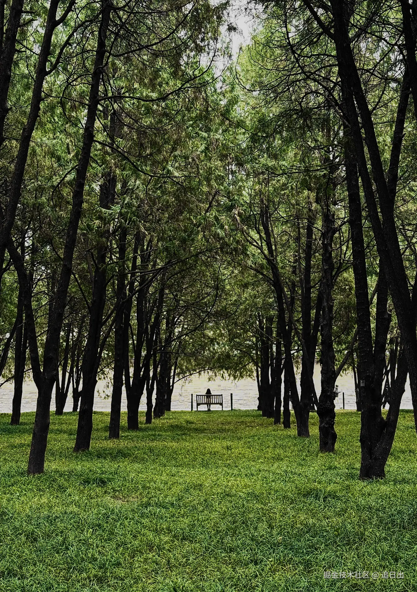 追日出于2025-04-08 09:23发布的图片