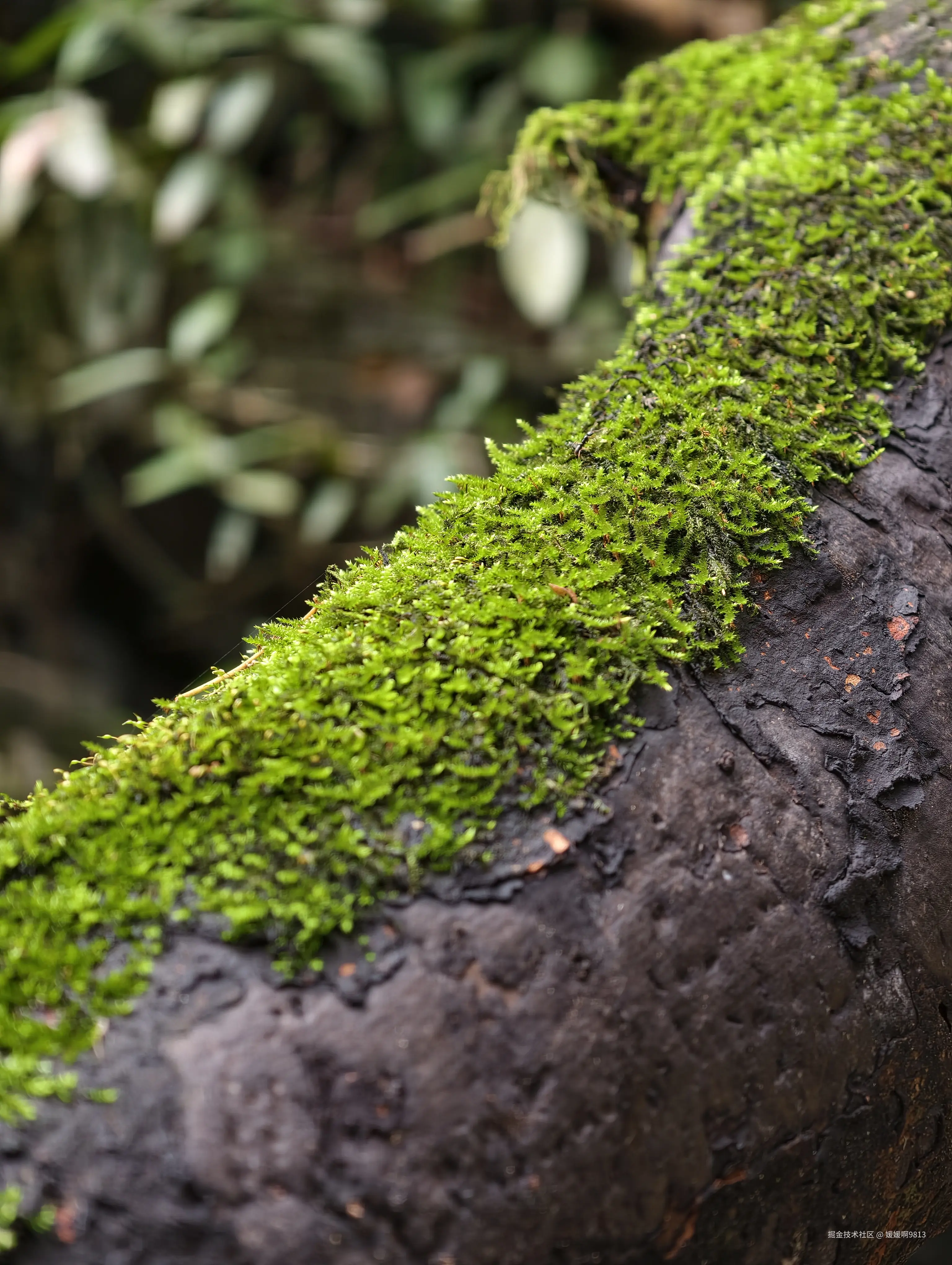 媛媛啊9813于2026-03-22 21:52发布的图片