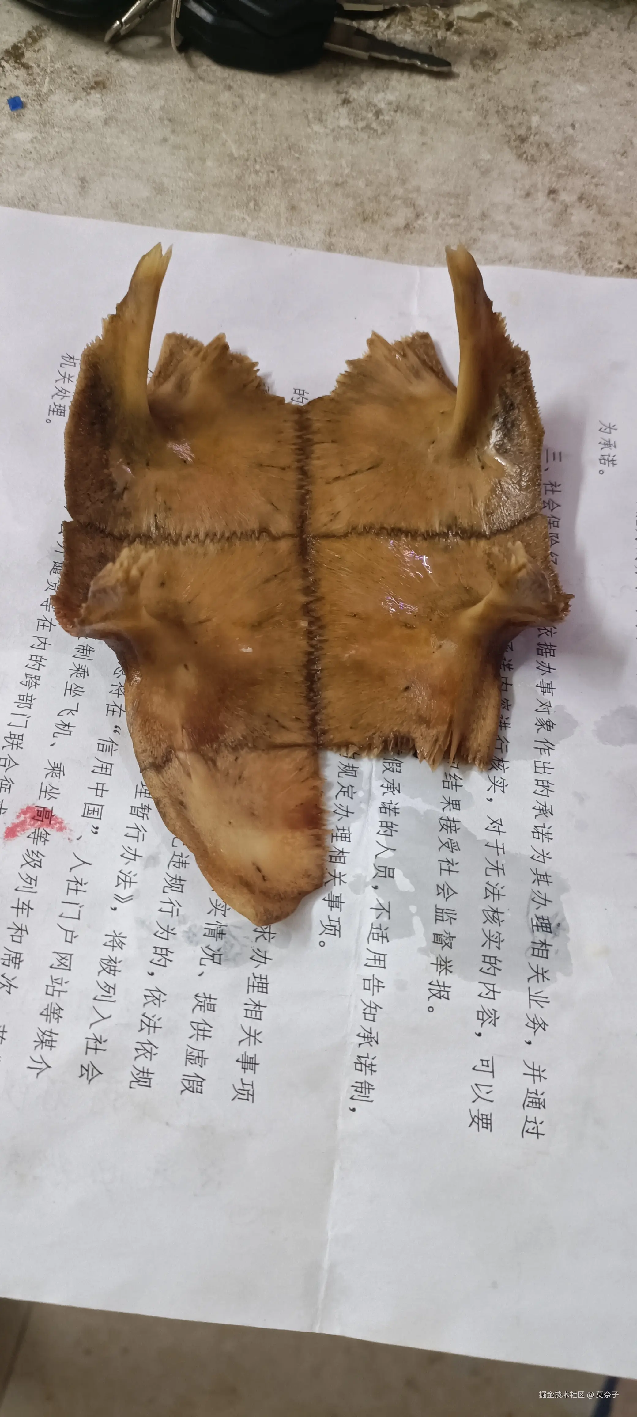 莫奈子于2025-07-15 22:52发布的图片