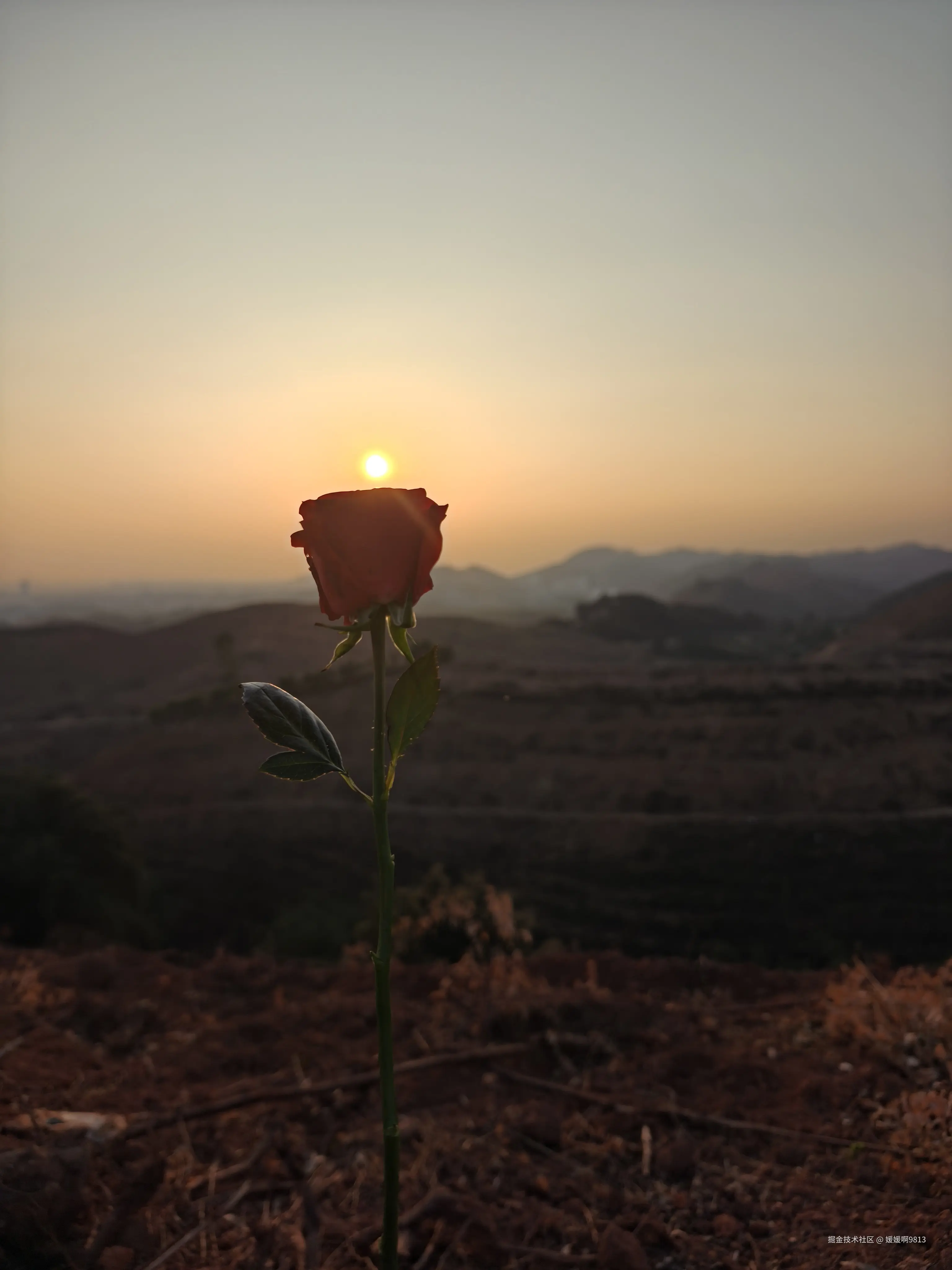 媛媛啊9813于2026-02-09 20:51发布的图片