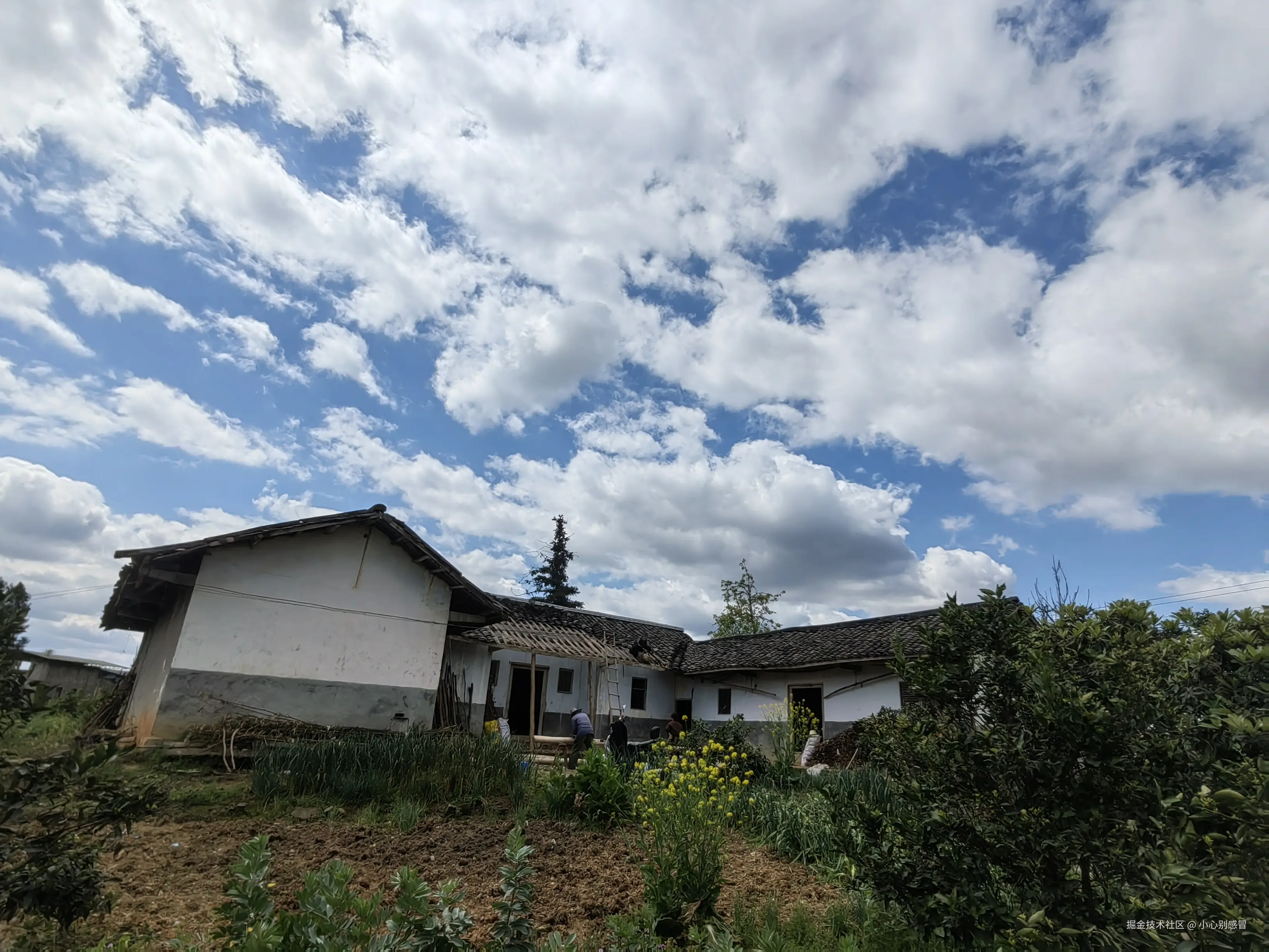 小心别感冒于2026-03-24 14:31发布的图片