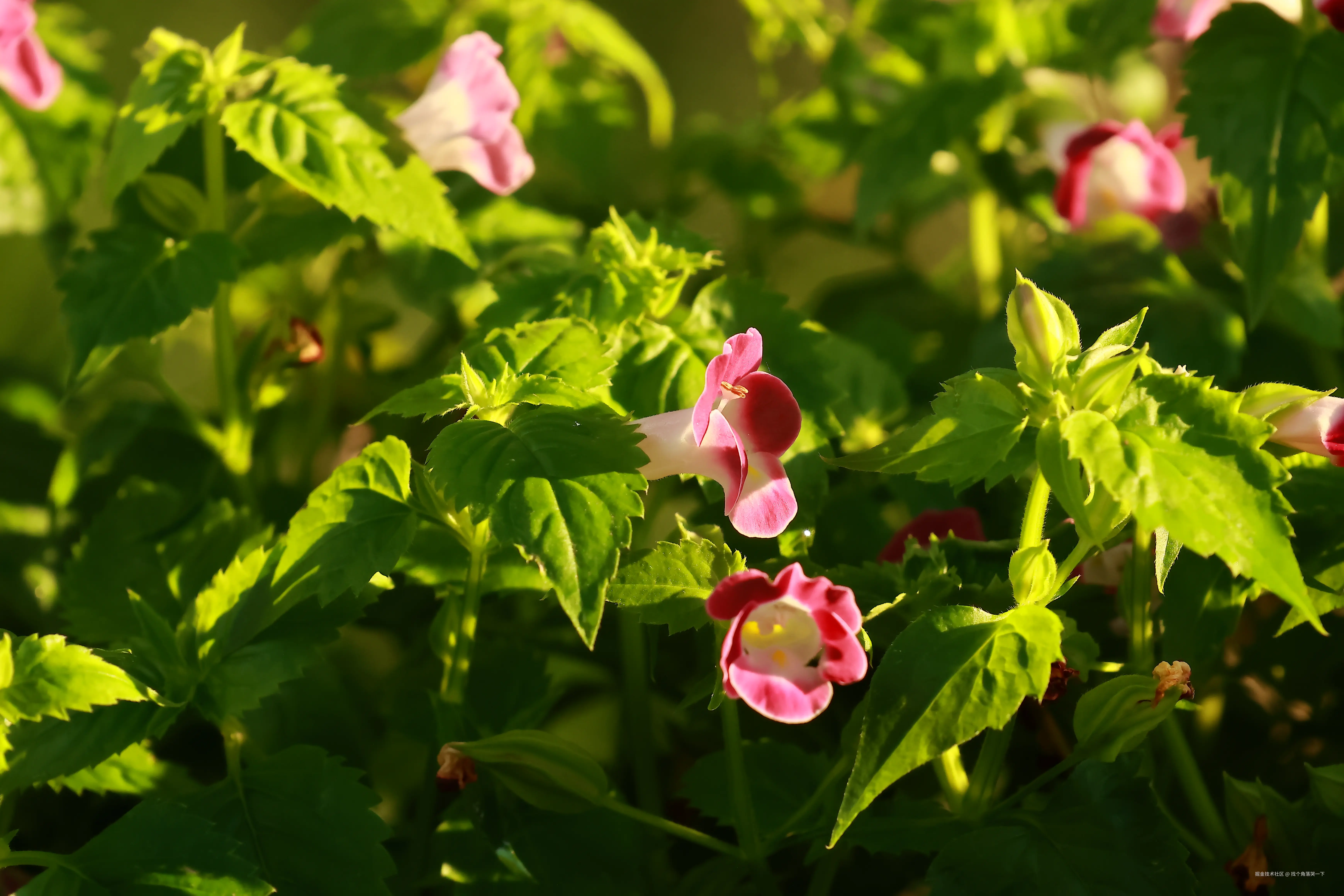 找个角落哭一下于2025-07-28 13:49发布的图片