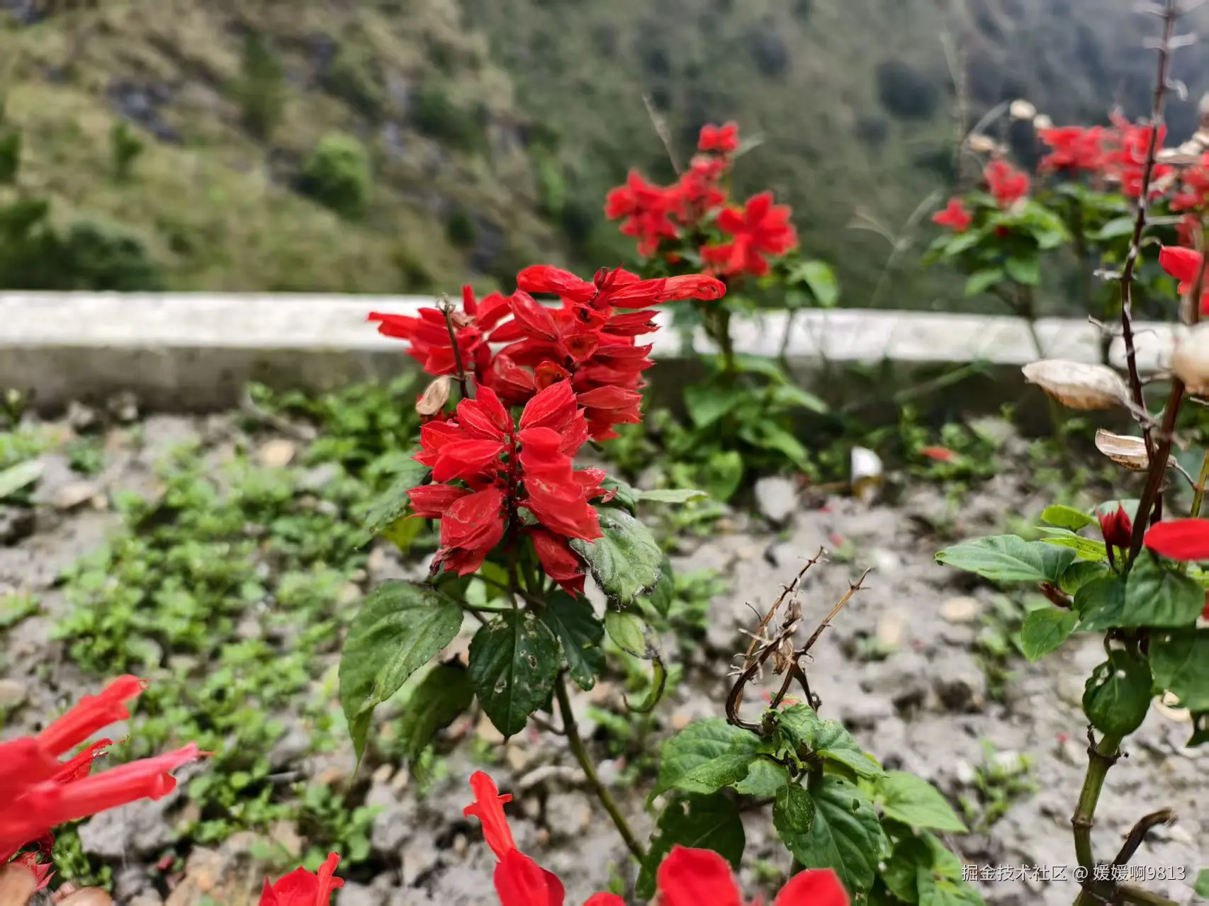 媛媛啊9813于2025-11-02 11:27发布的图片