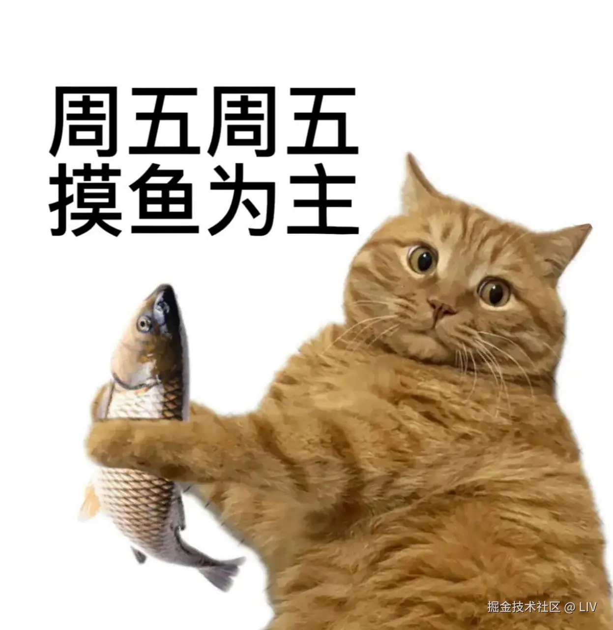 LIV于2025-03-07 10:32发布的图片