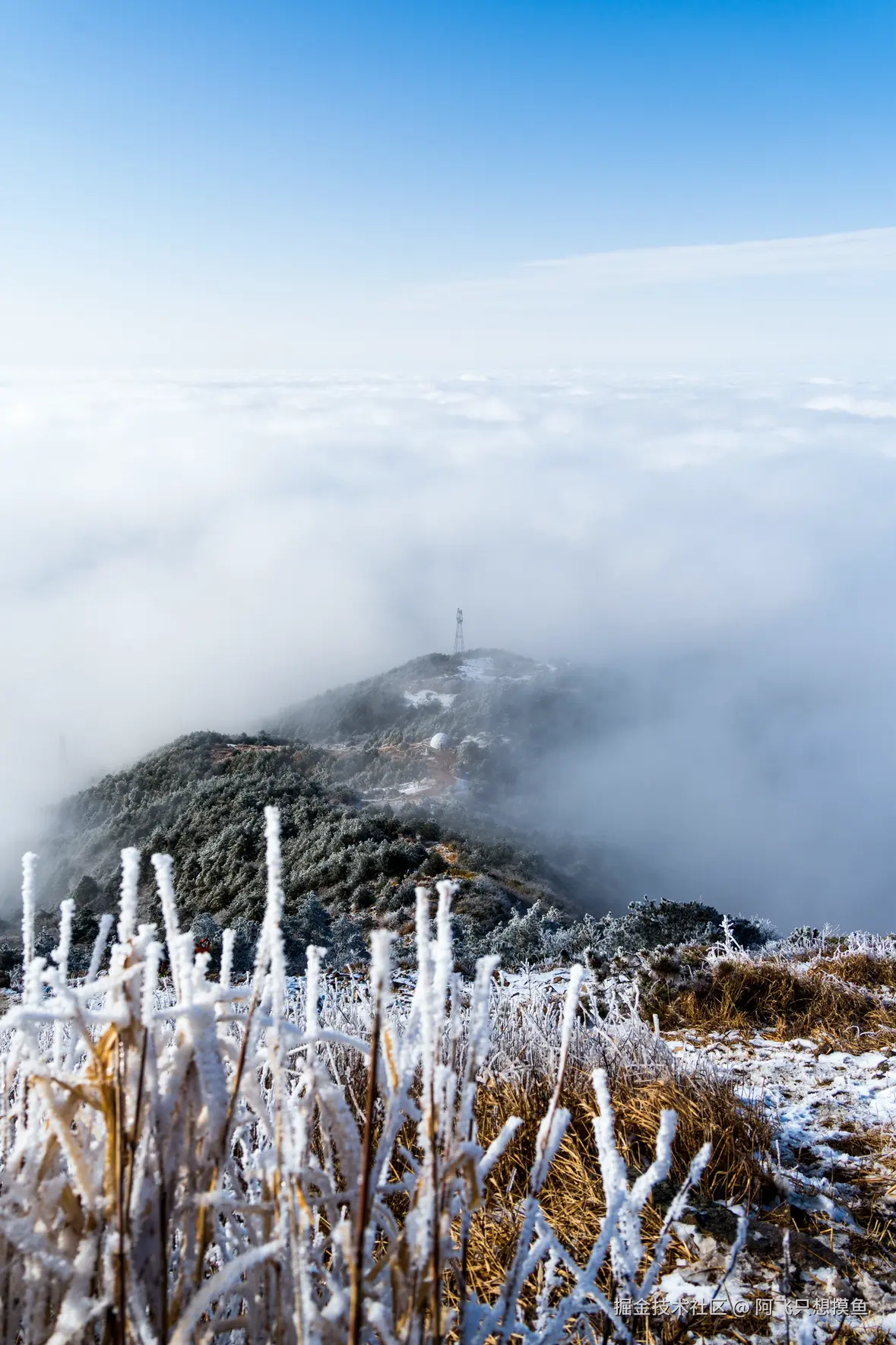 阿飞只想摸鱼于2026-02-11 14:33发布的图片