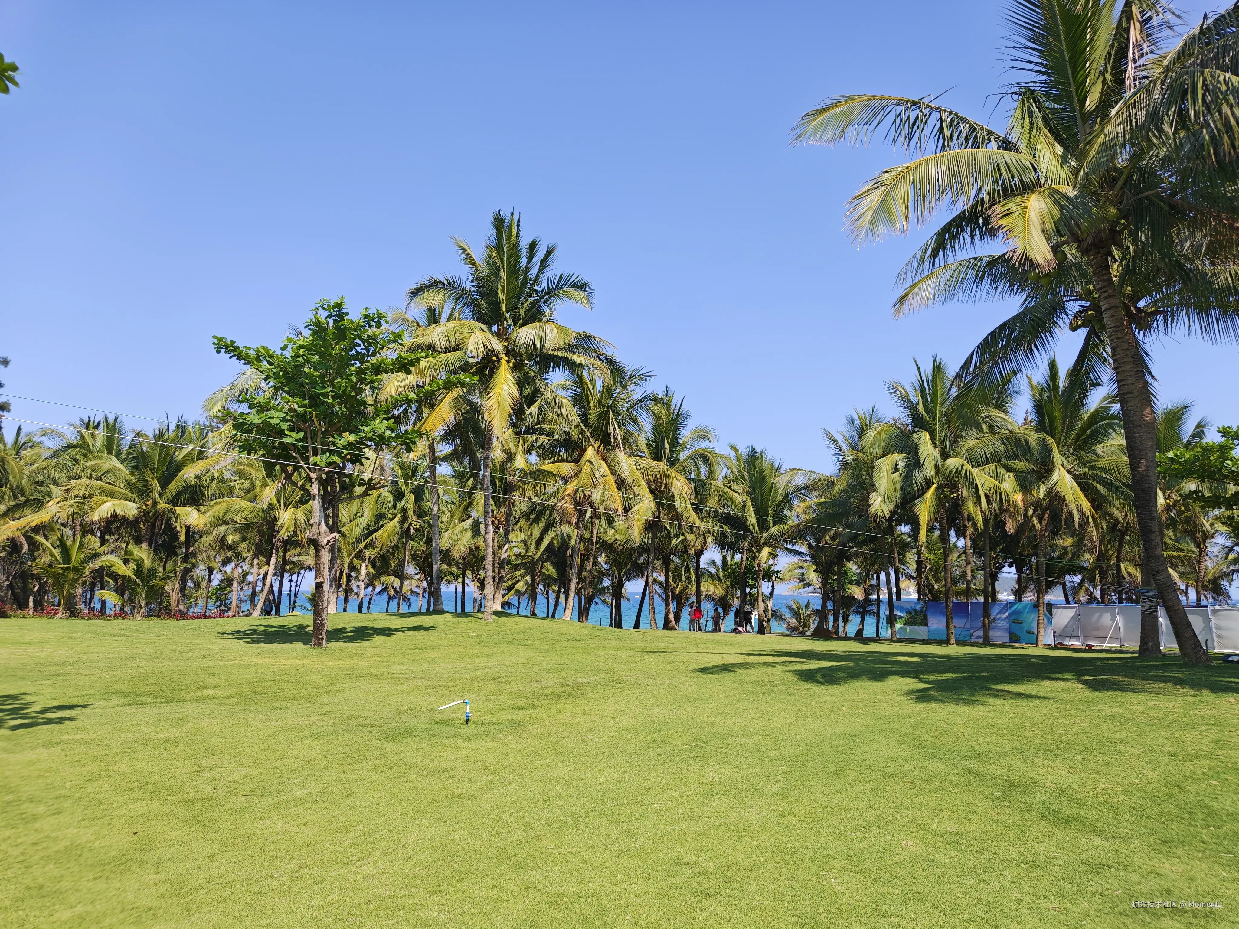 Moment于2026-03-23 09:53发布的图片