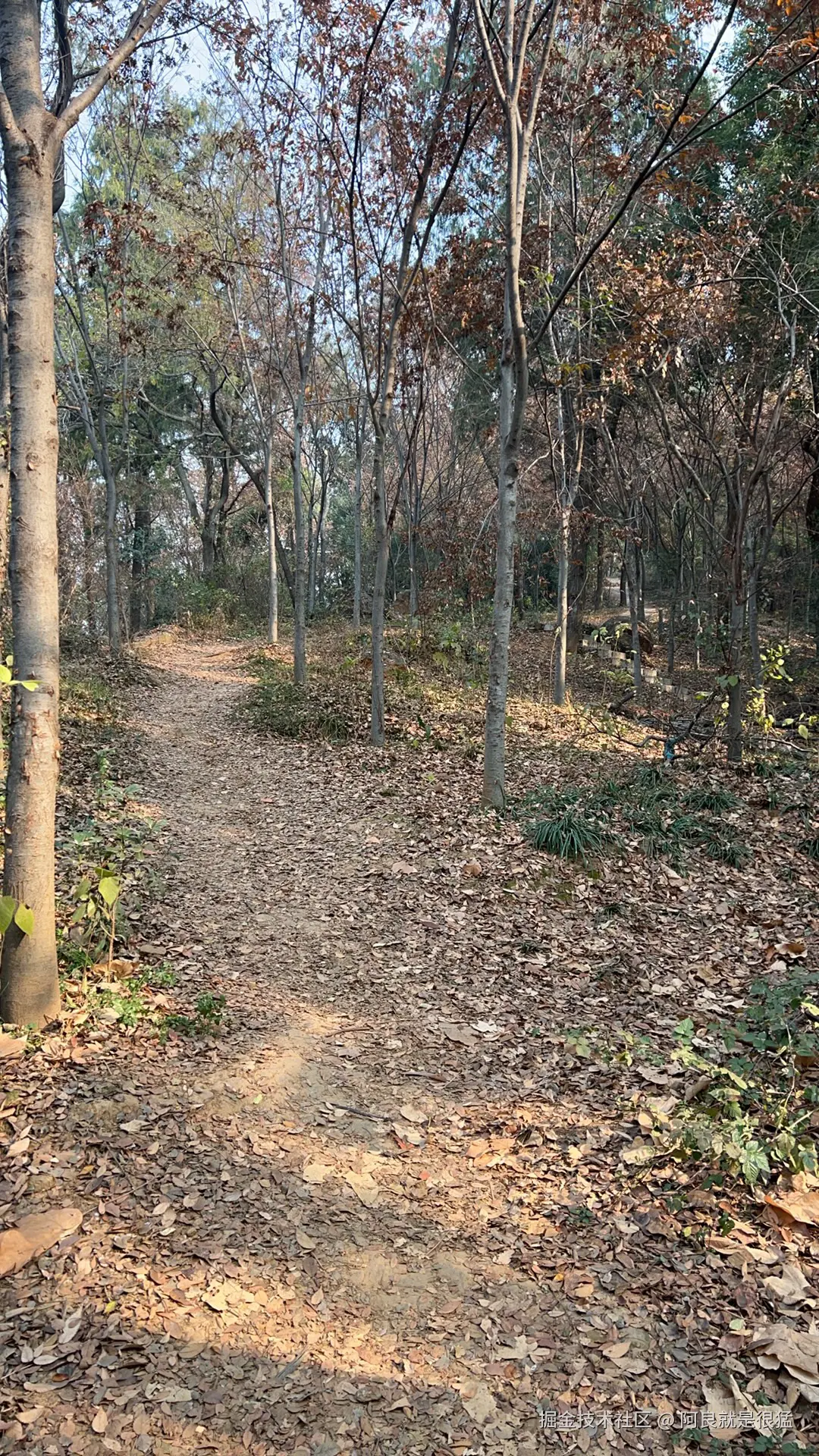 阿良就是很猛于2025-12-18 01:59发布的图片