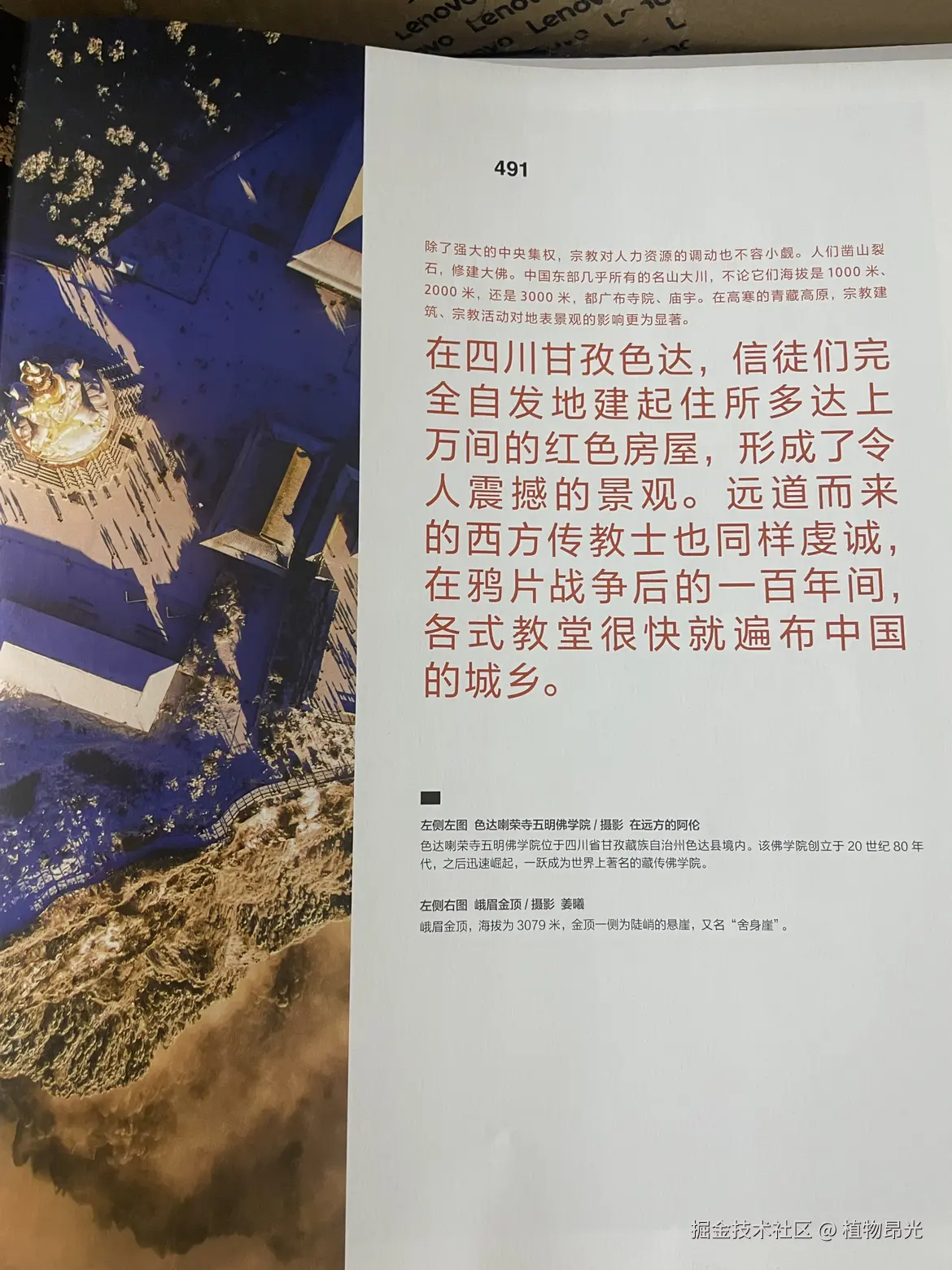 植物昂光于2026-05-01 20:43发布的图片