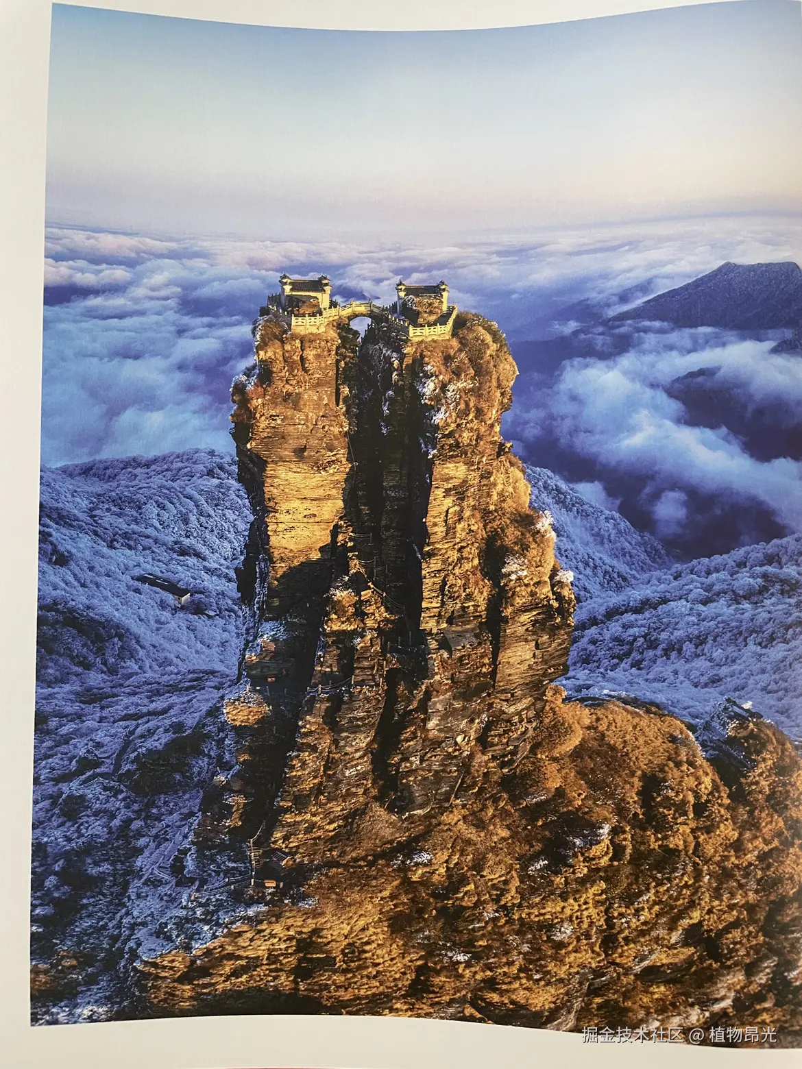 植物昂光于2026-04-06 16:14发布的图片