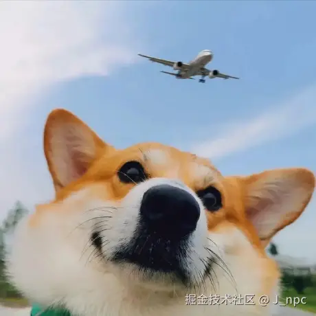 从0到1搞项目，写bug！！！