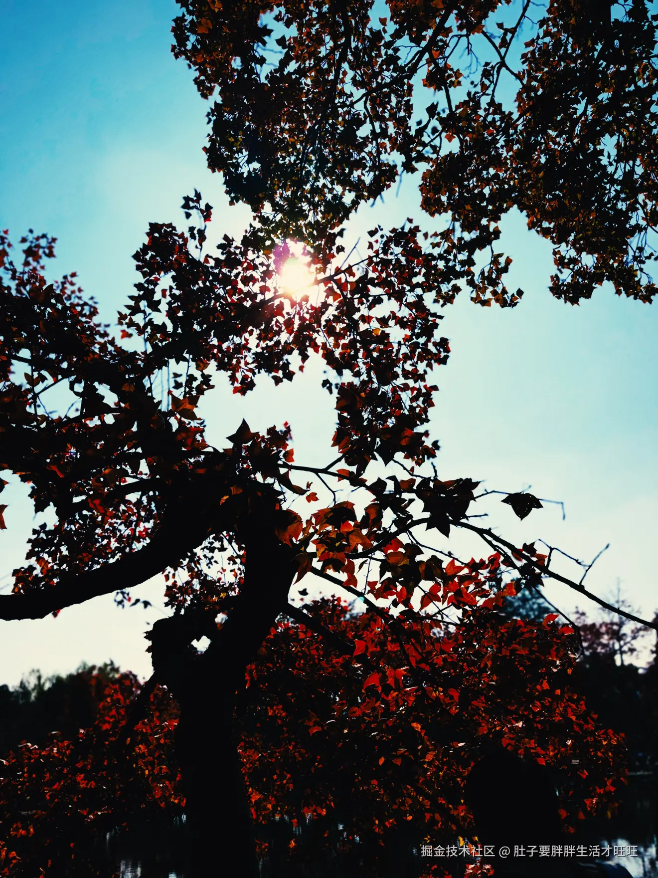 肚子要胖胖生活才旺旺于2025-11-16 00:20发布的图片