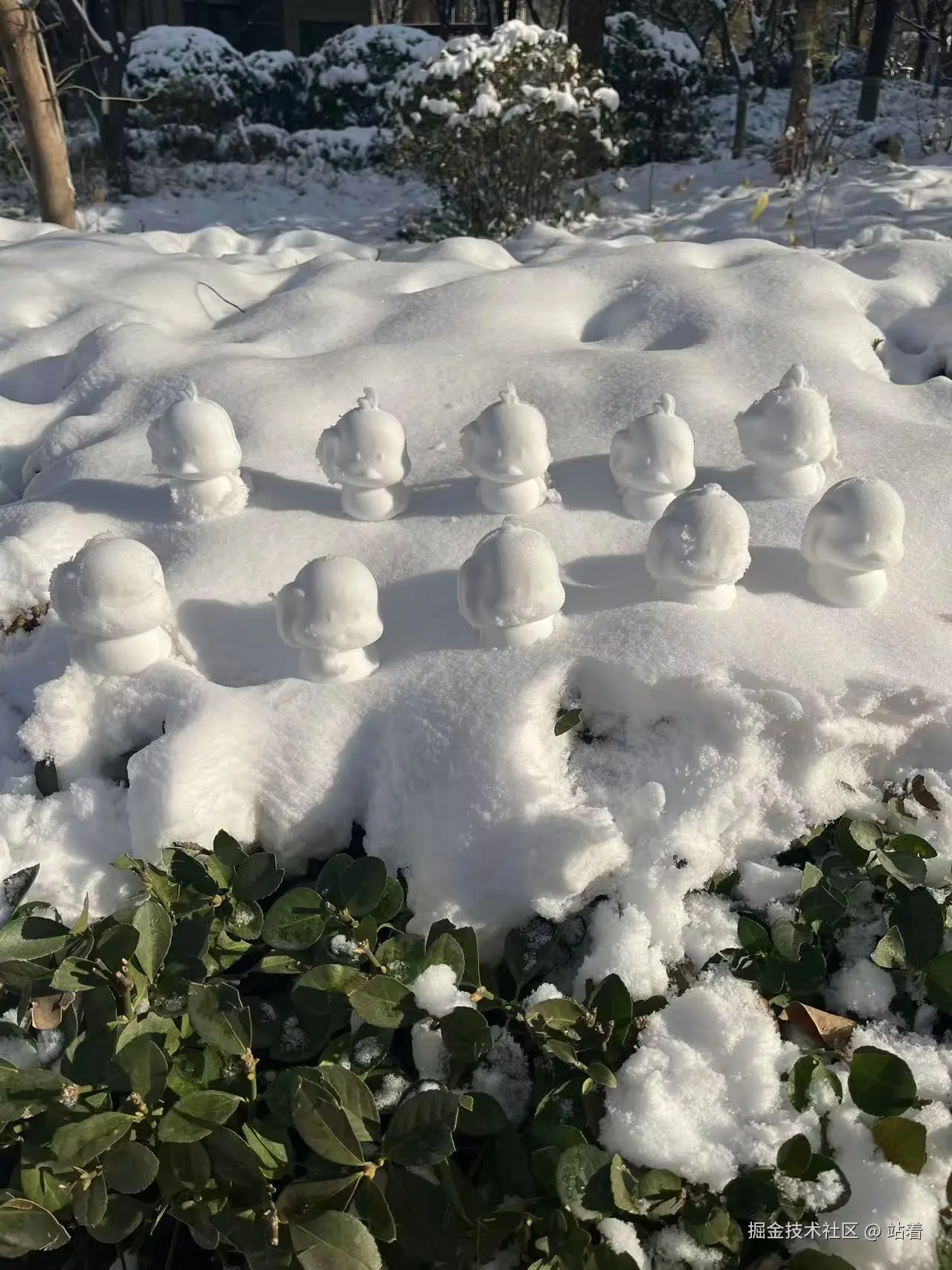 站着于2025-12-13 02:51发布的图片