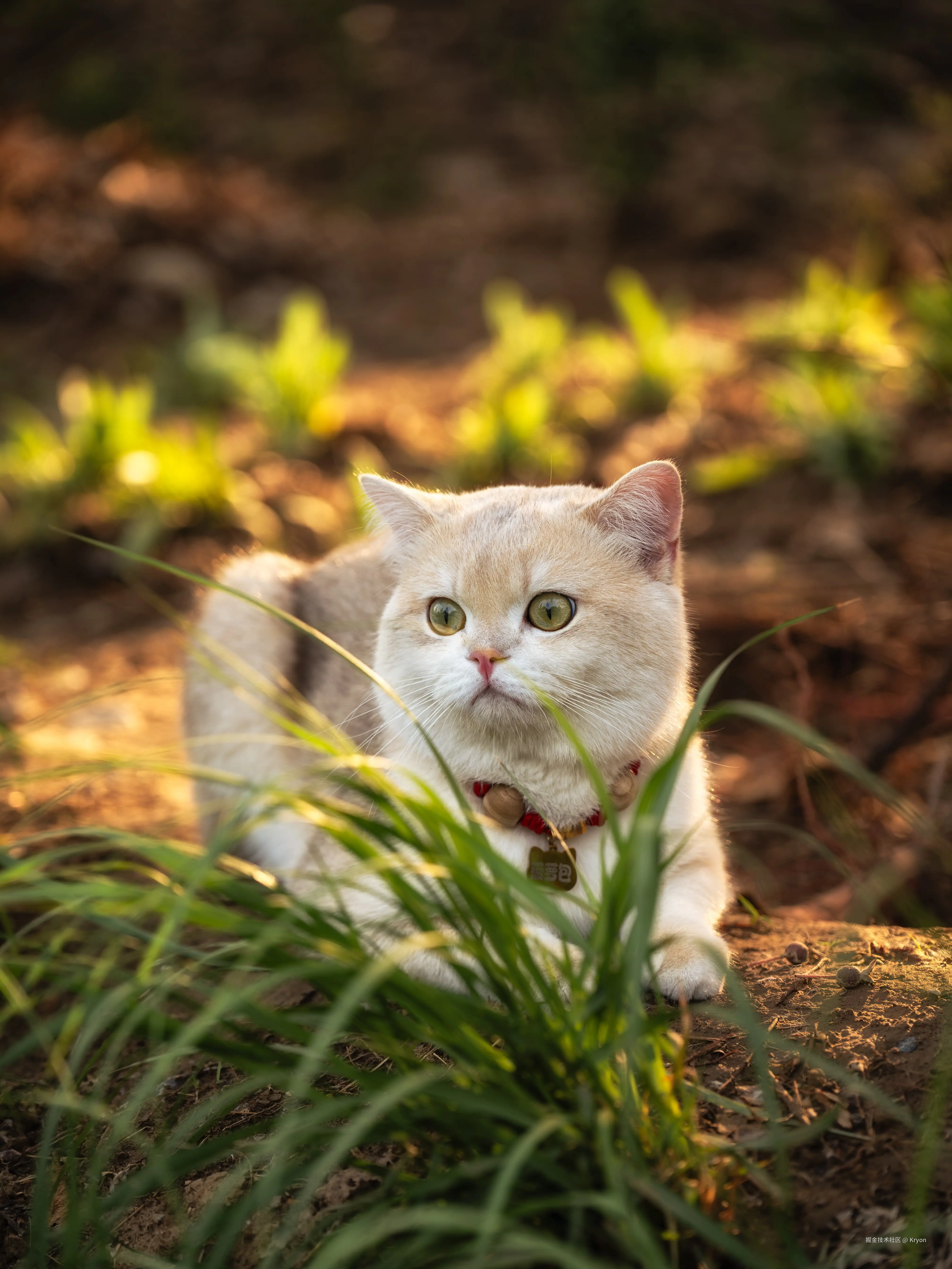 Kryon于2025-05-12 10:53发布的图片