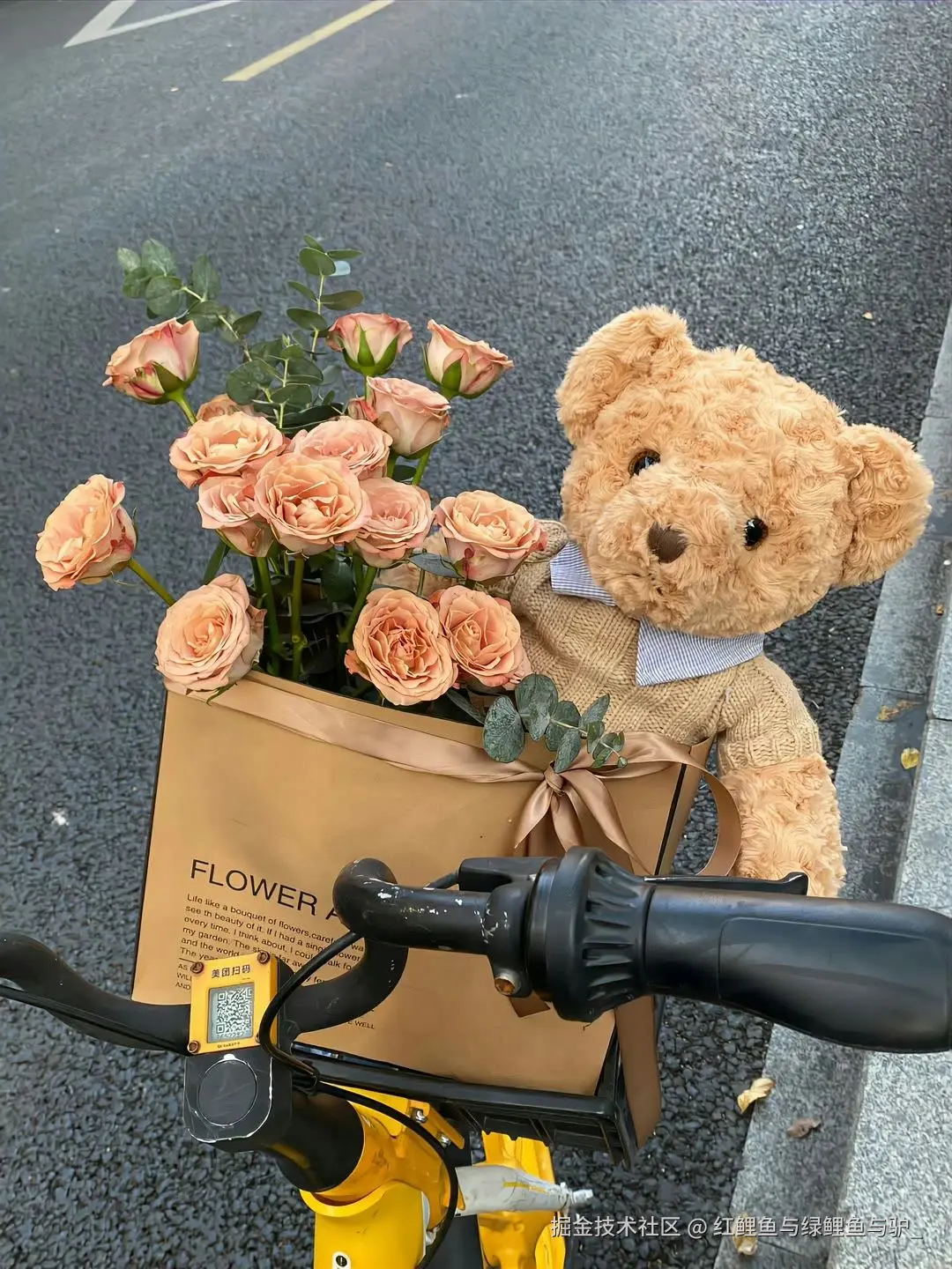 红鲤鱼与绿鲤鱼与驴_于2025-06-20 09:58发布的图片