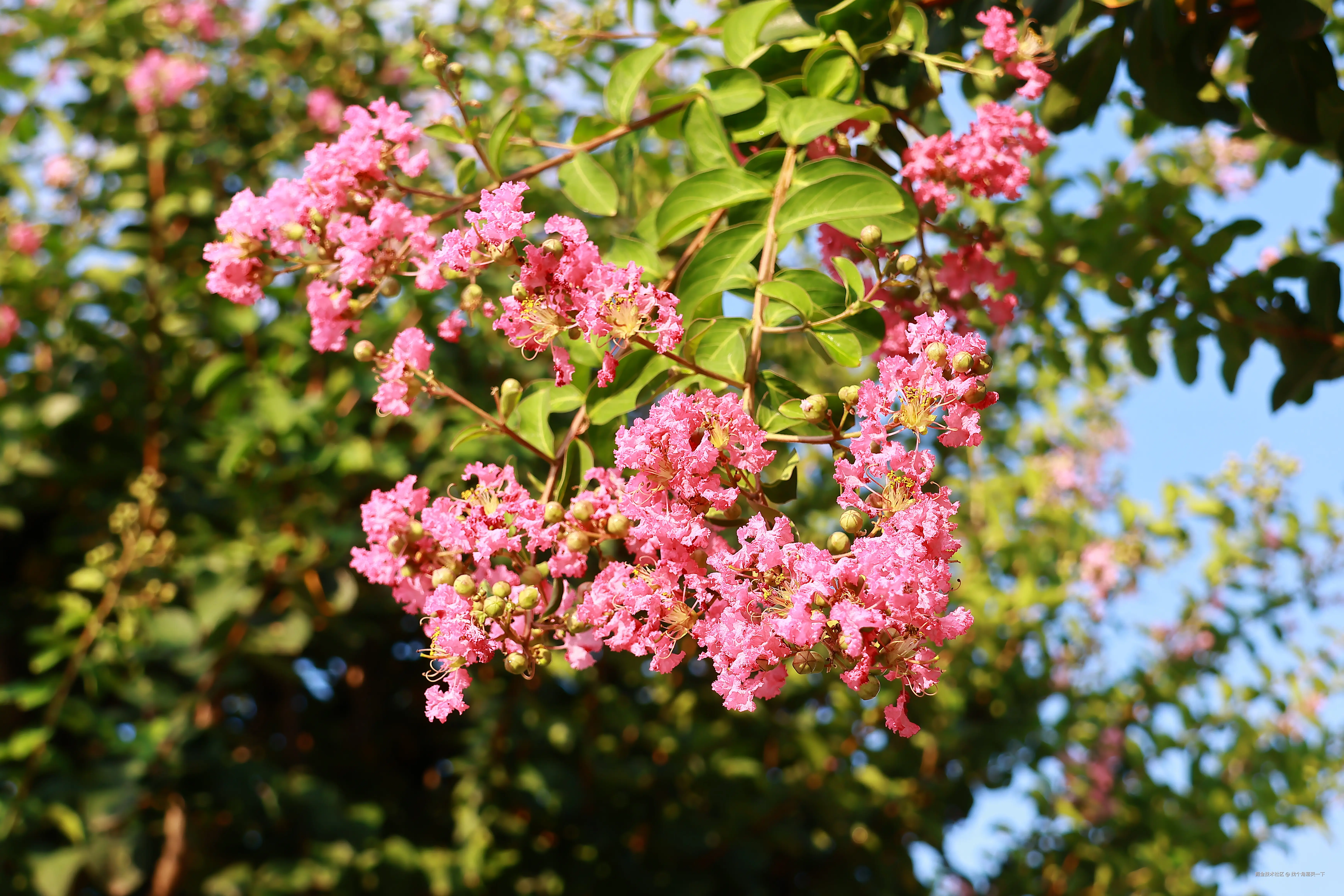 找个角落哭一下于2025-07-28 13:49发布的图片
