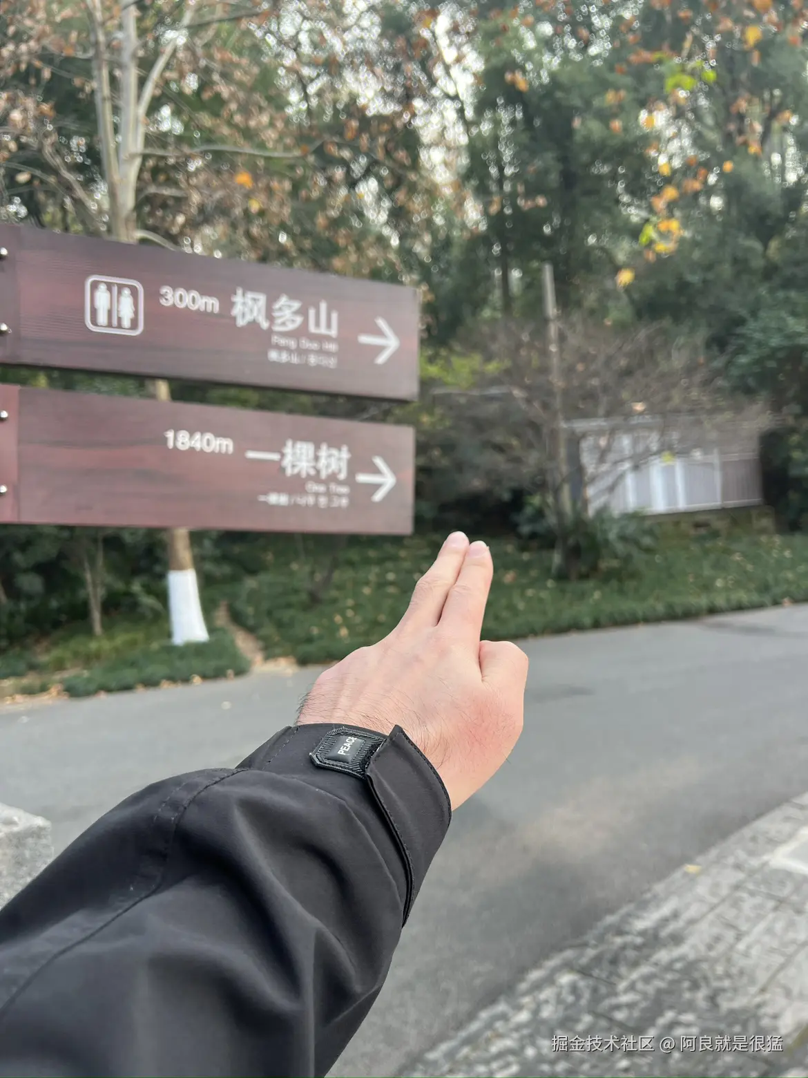 阿良就是很猛于2025-12-18 01:59发布的图片