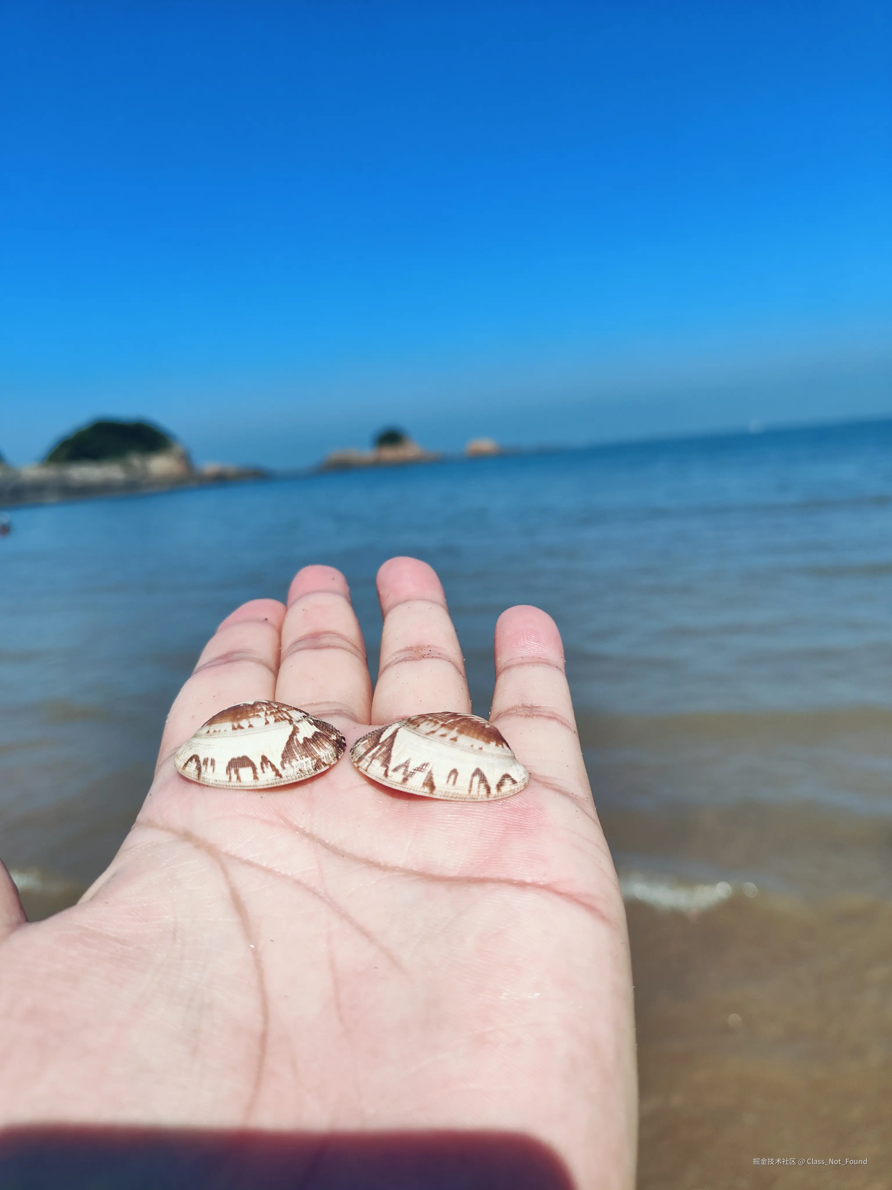 Class_Not_Found于2024-08-09 09:38发布的图片