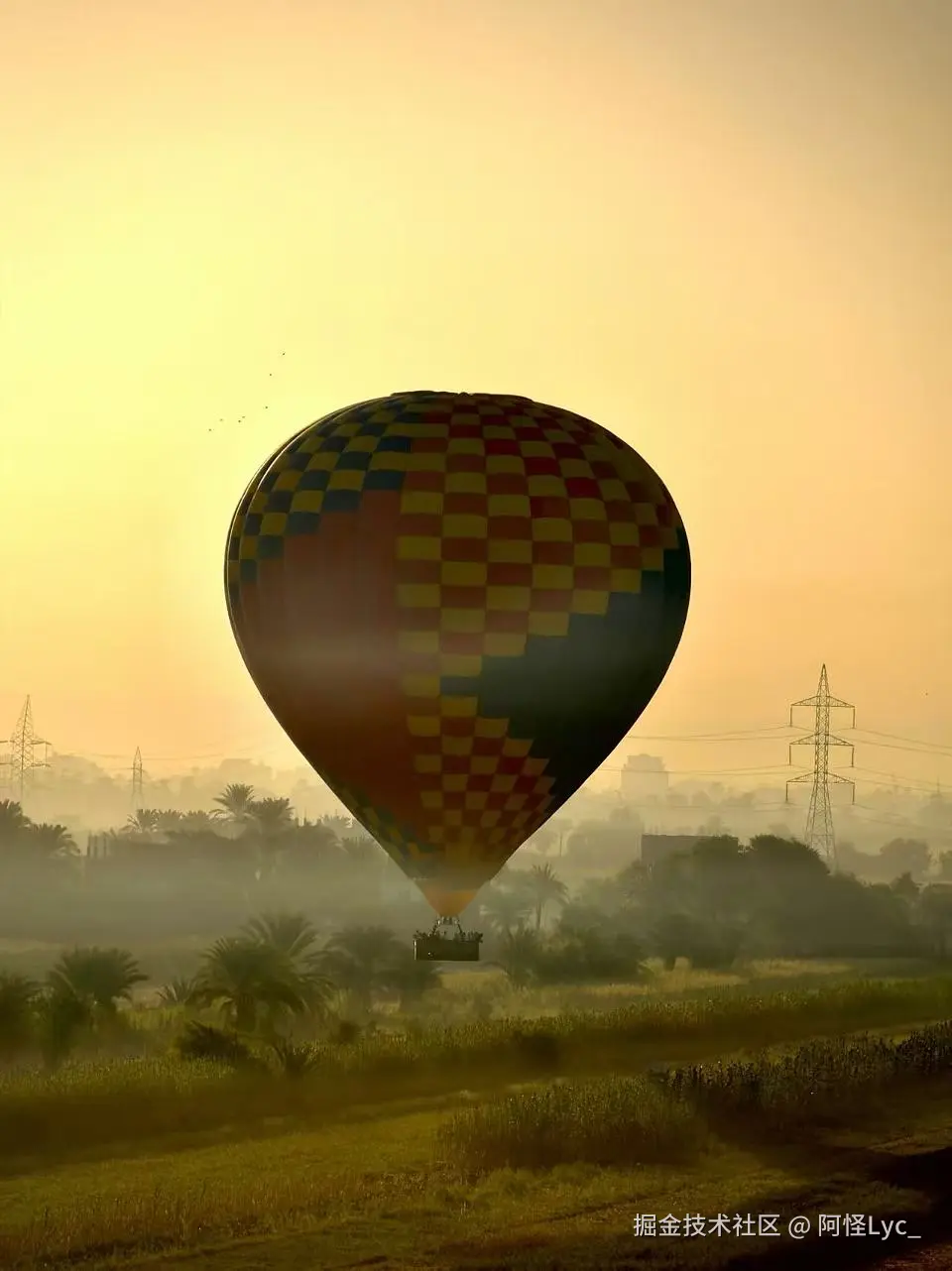 阿怪Lyc_于2026-03-19 10:05发布的图片