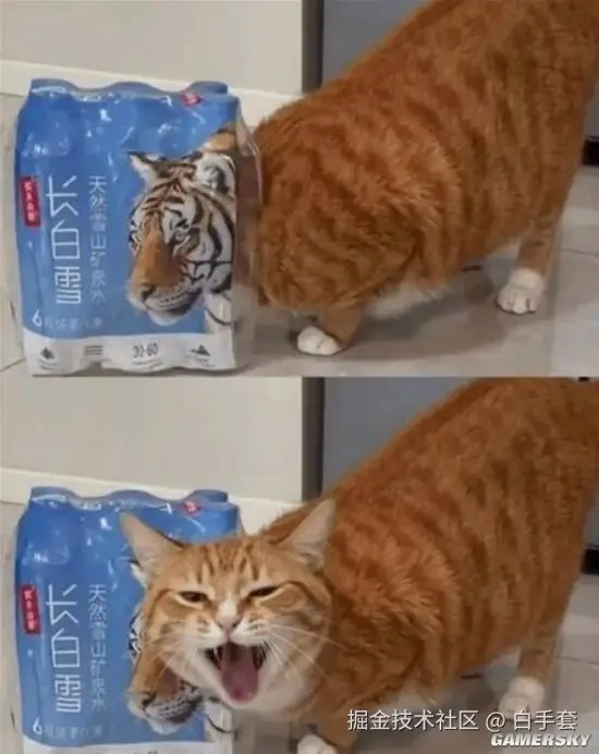 白手套于2026-01-11 15:43发布的图片