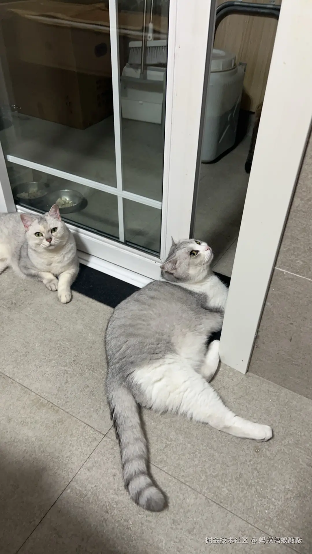 蚂蚁蚂蚁敲敲于2024-09-24 05:12发布的图片