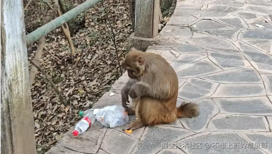 不想上班的章鱼哥于2025-01-07 15:02发布的图片