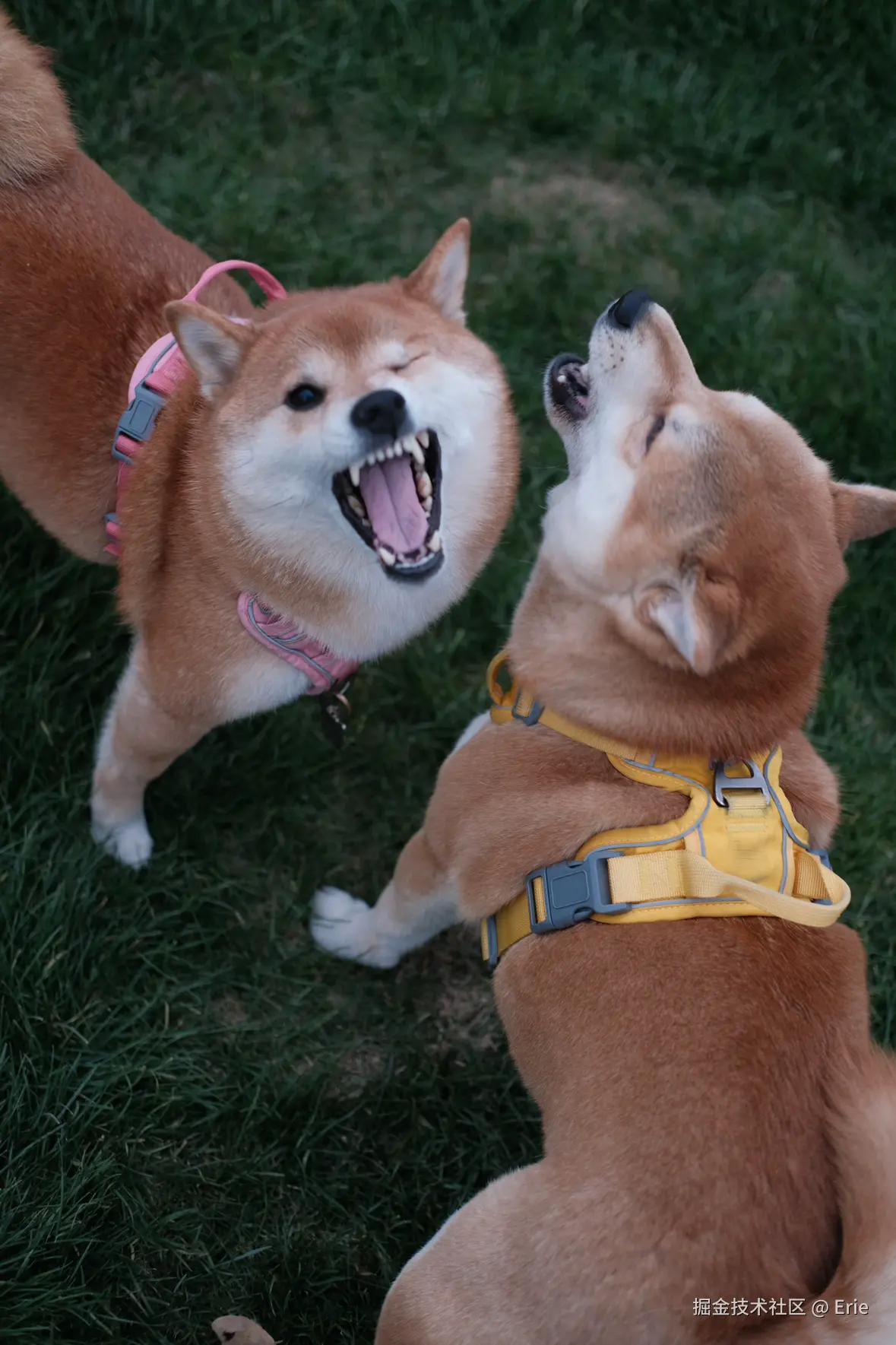 Erie于2024-12-24 10:18发布的图片