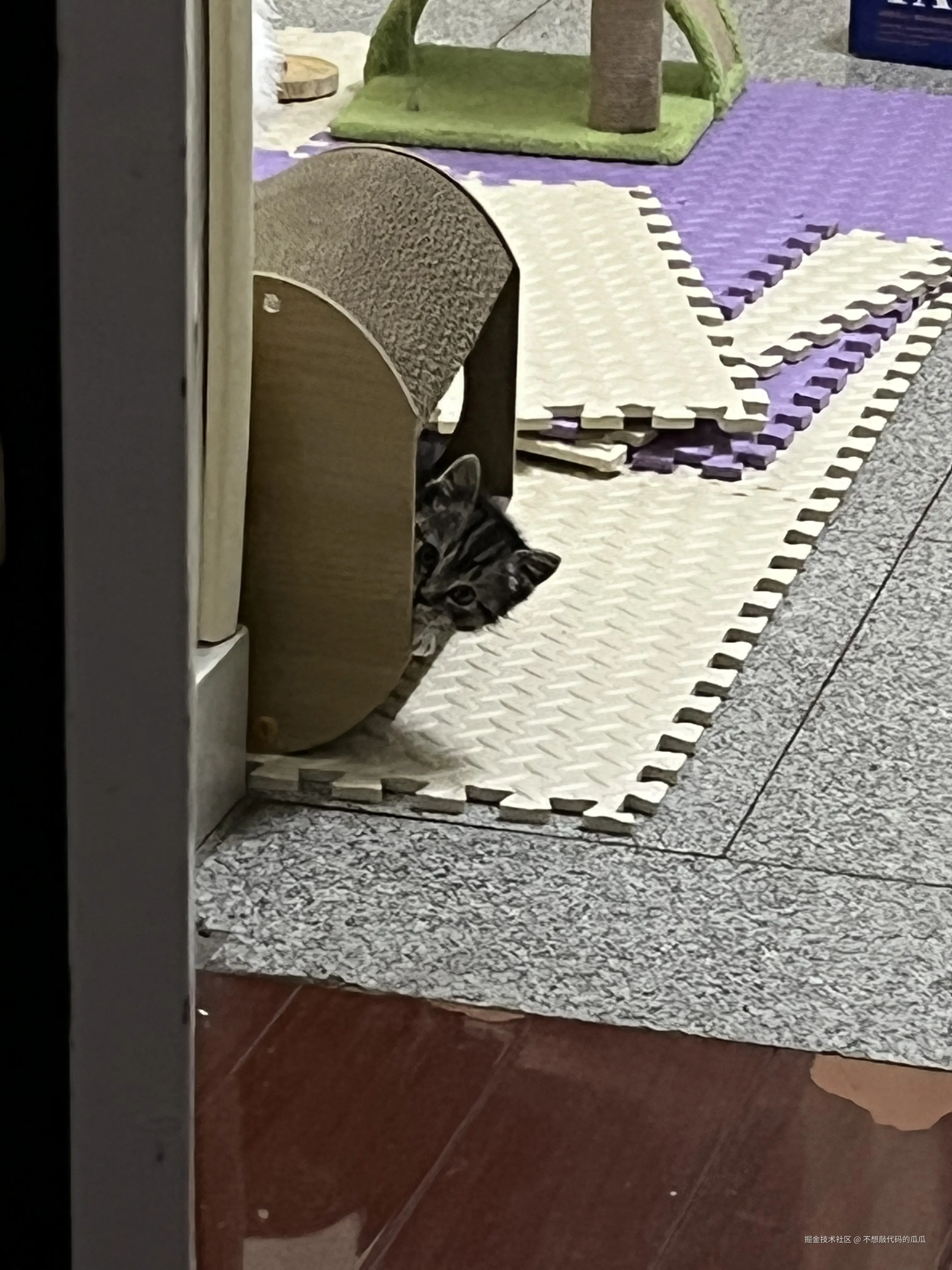 不想敲代码的瓜瓜于2025-04-11 14:18发布的图片