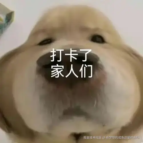 有梦想的咸鱼还是咸鱼吗于2024-12-23 10:27发布的图片