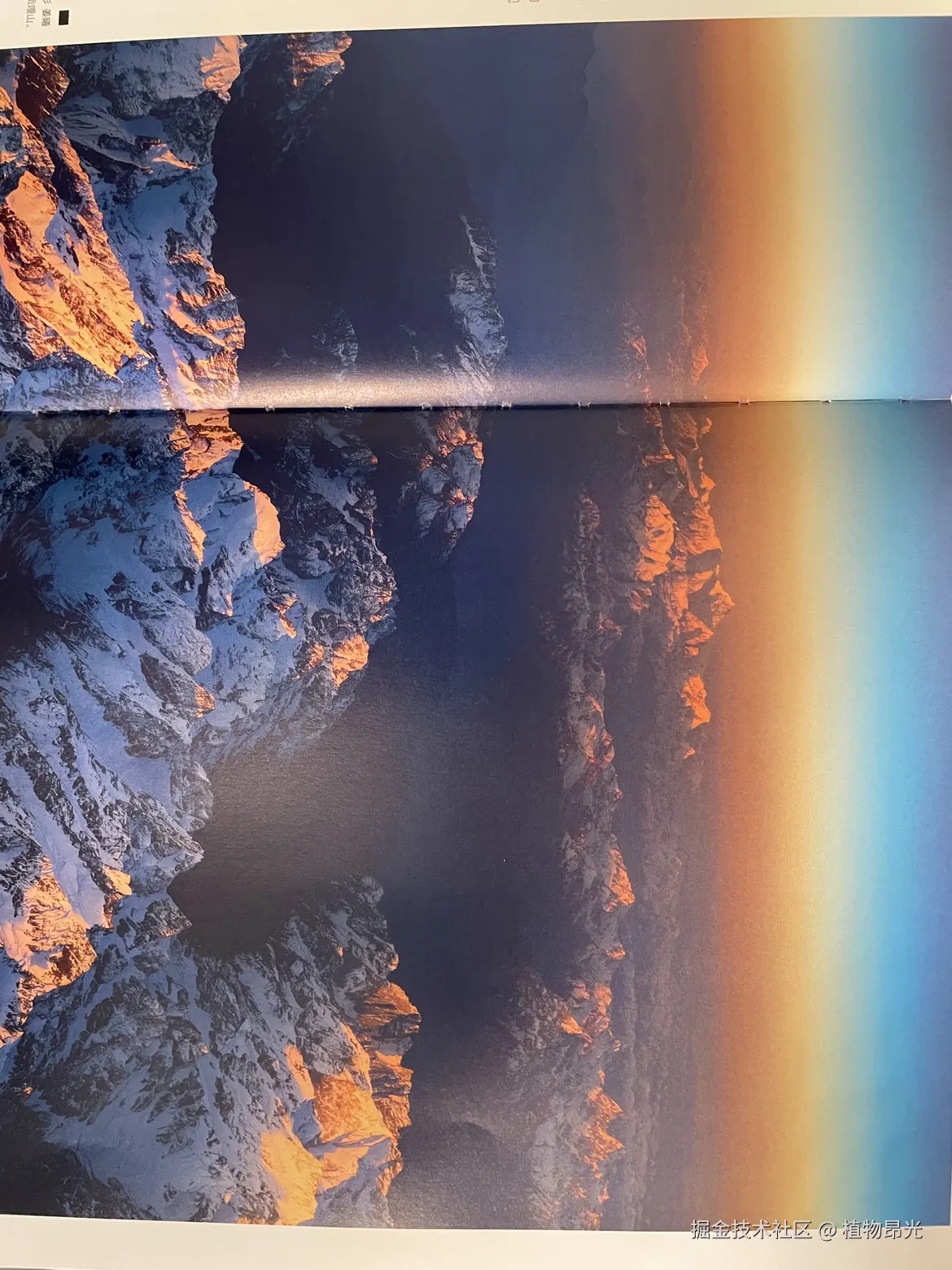 植物昂光于2026-03-08 15:56发布的图片