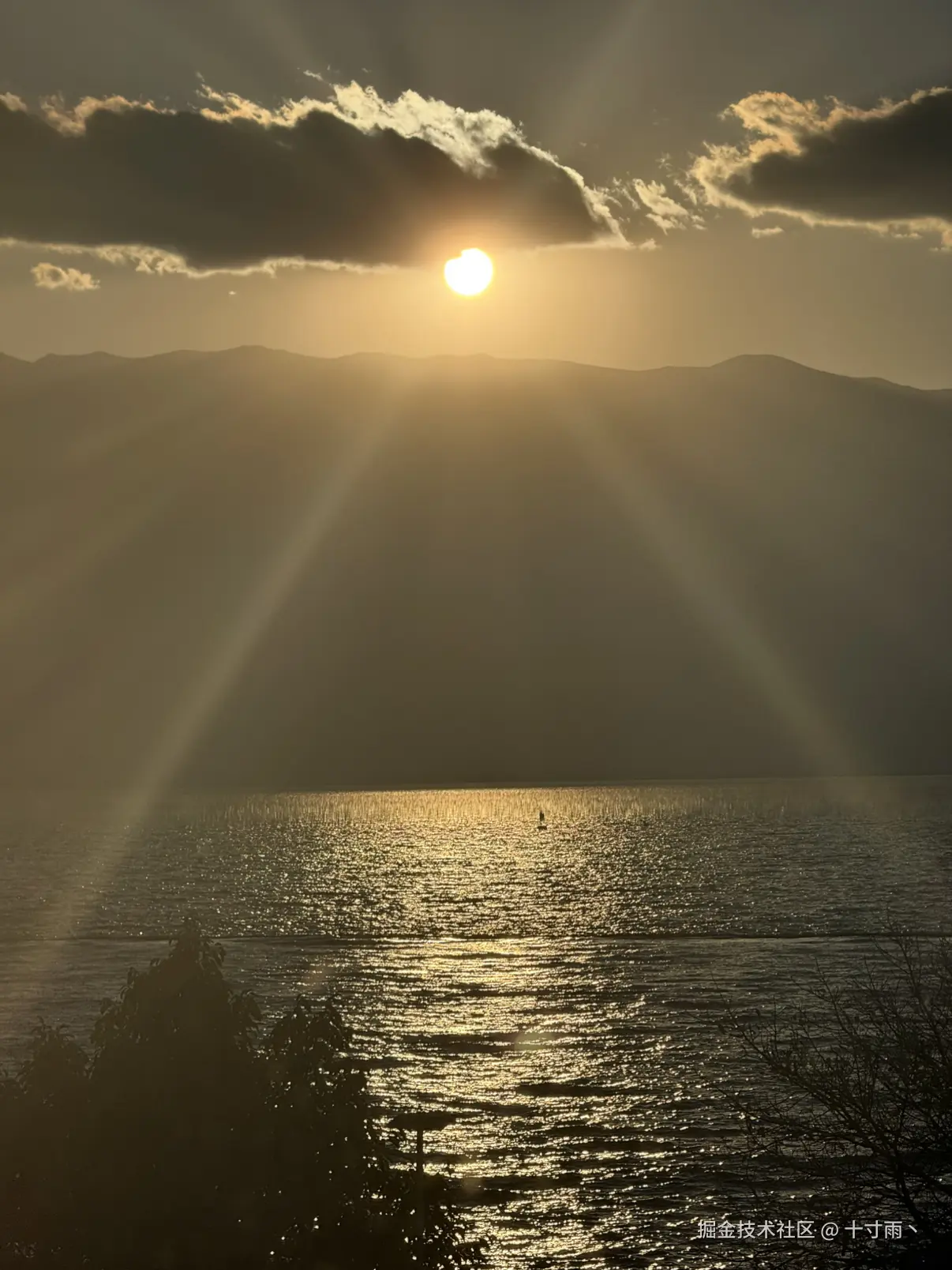 十寸雨丶于2026-01-27 12:01发布的图片